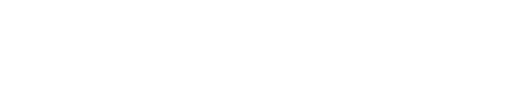 North Park Properties ebrochure logo