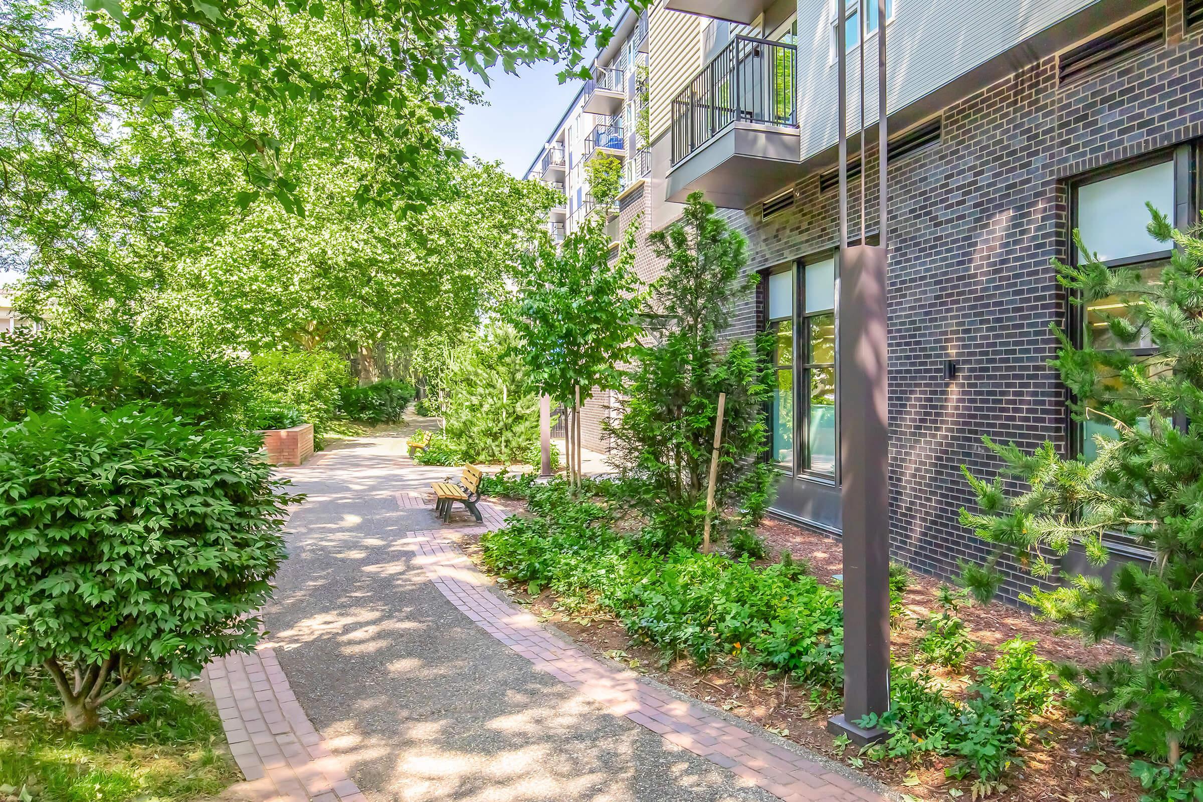 A landscaped walkway bordered by greenery, including trees and shrubs, leads to a modern building with large windows and balconies. The path features brick elements and is illuminated by natural sunlight, creating a serene outdoor environment.