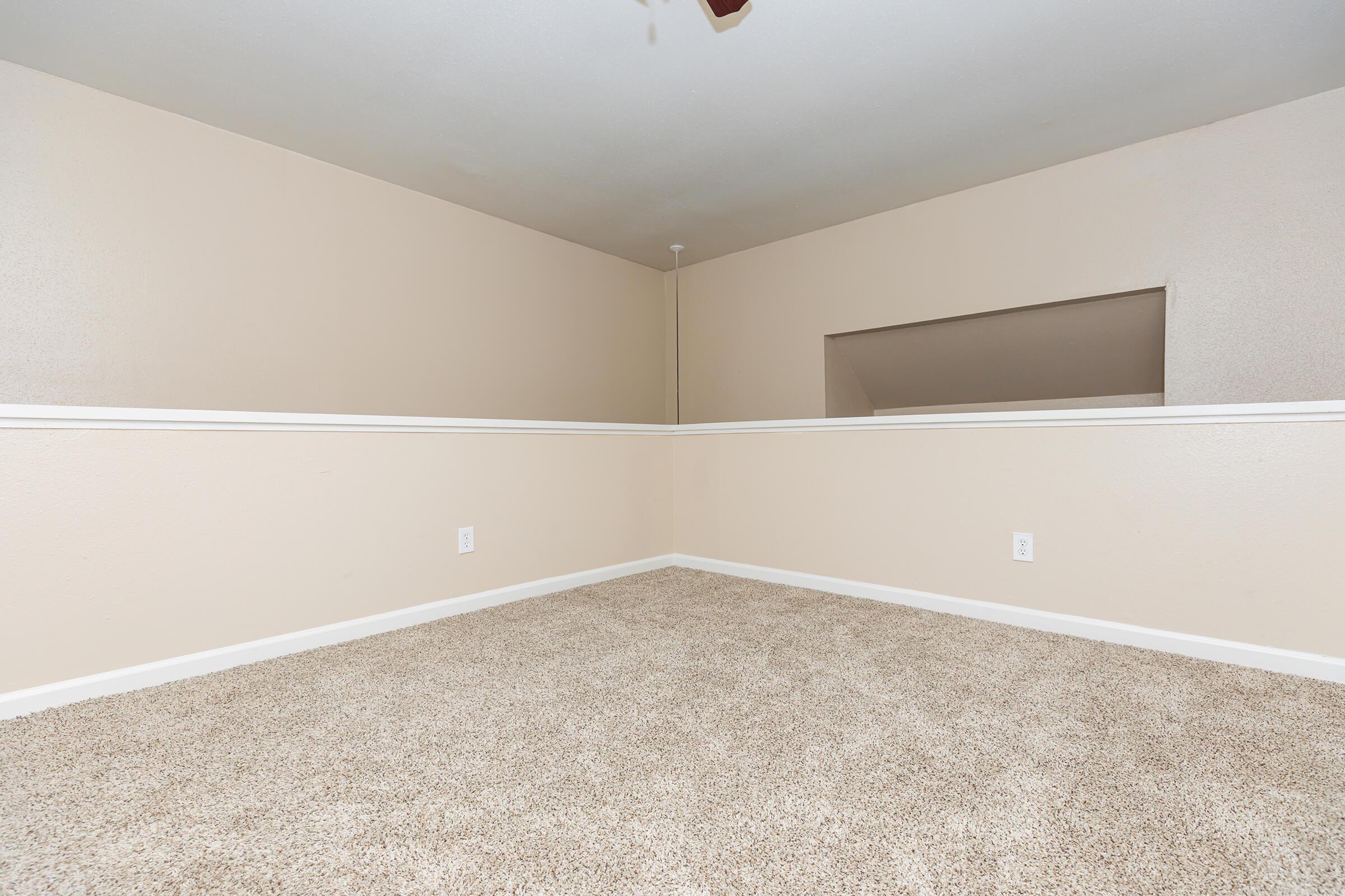 CEILING FANS AND PLUSH CARPETING