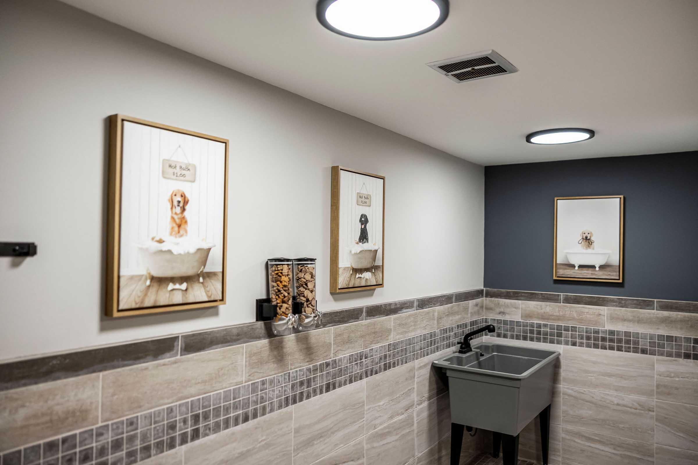 A stylish pet grooming room featuring three framed portraits of dogs in bathtubs hanging on the wall. There is a modern sink with a sleek faucet, and a storage container for dog treats on the wall, all set against a blend of light and dark wall colors with tiled accents.