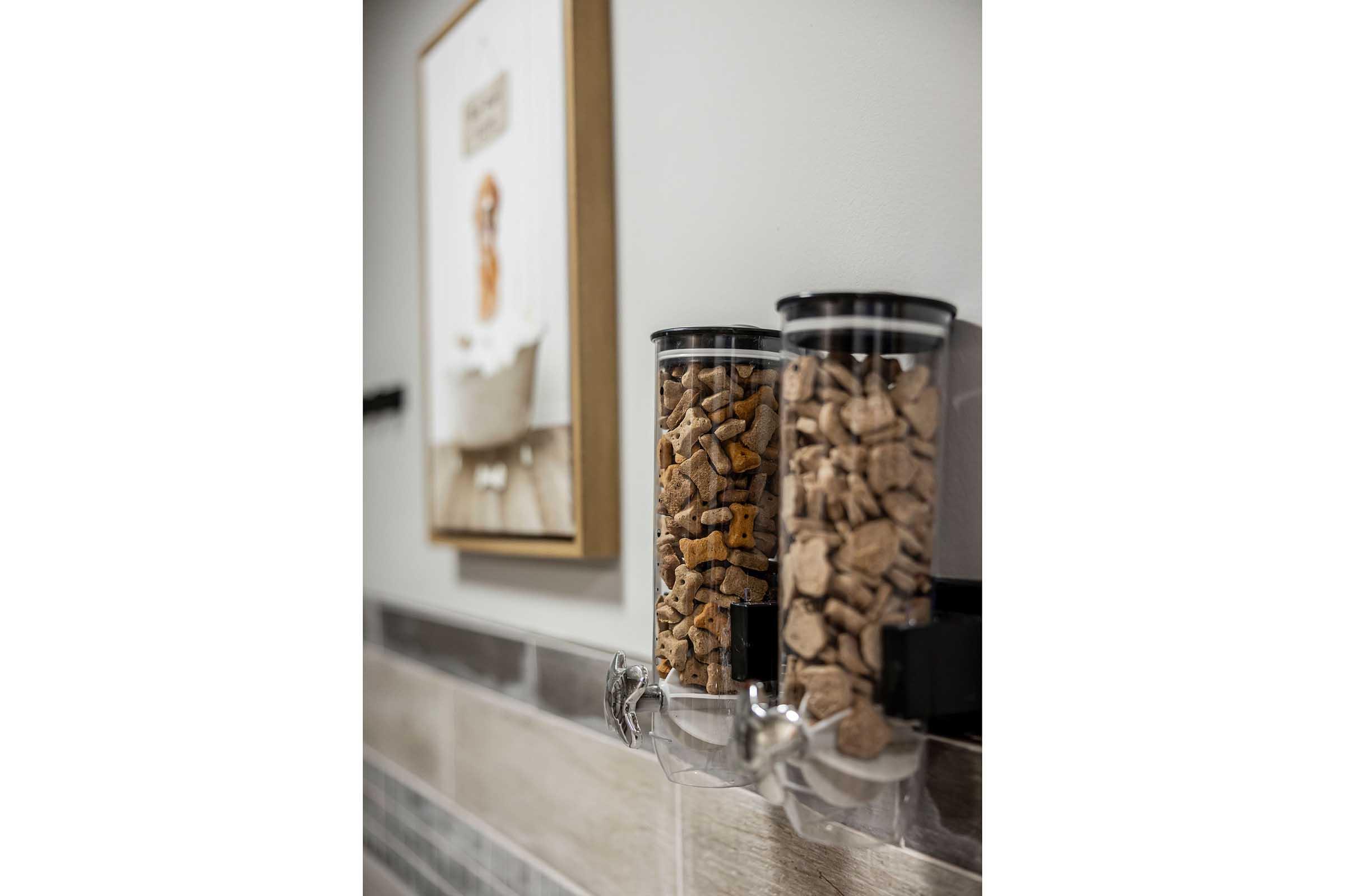 Two clear plastic dispensers mounted on a wall, filled with brown pet treats. A framed decorative piece is visible in the background, enhancing the aesthetic of the space. The setting appears to be an inviting area, potentially in a pet-friendly business or home.