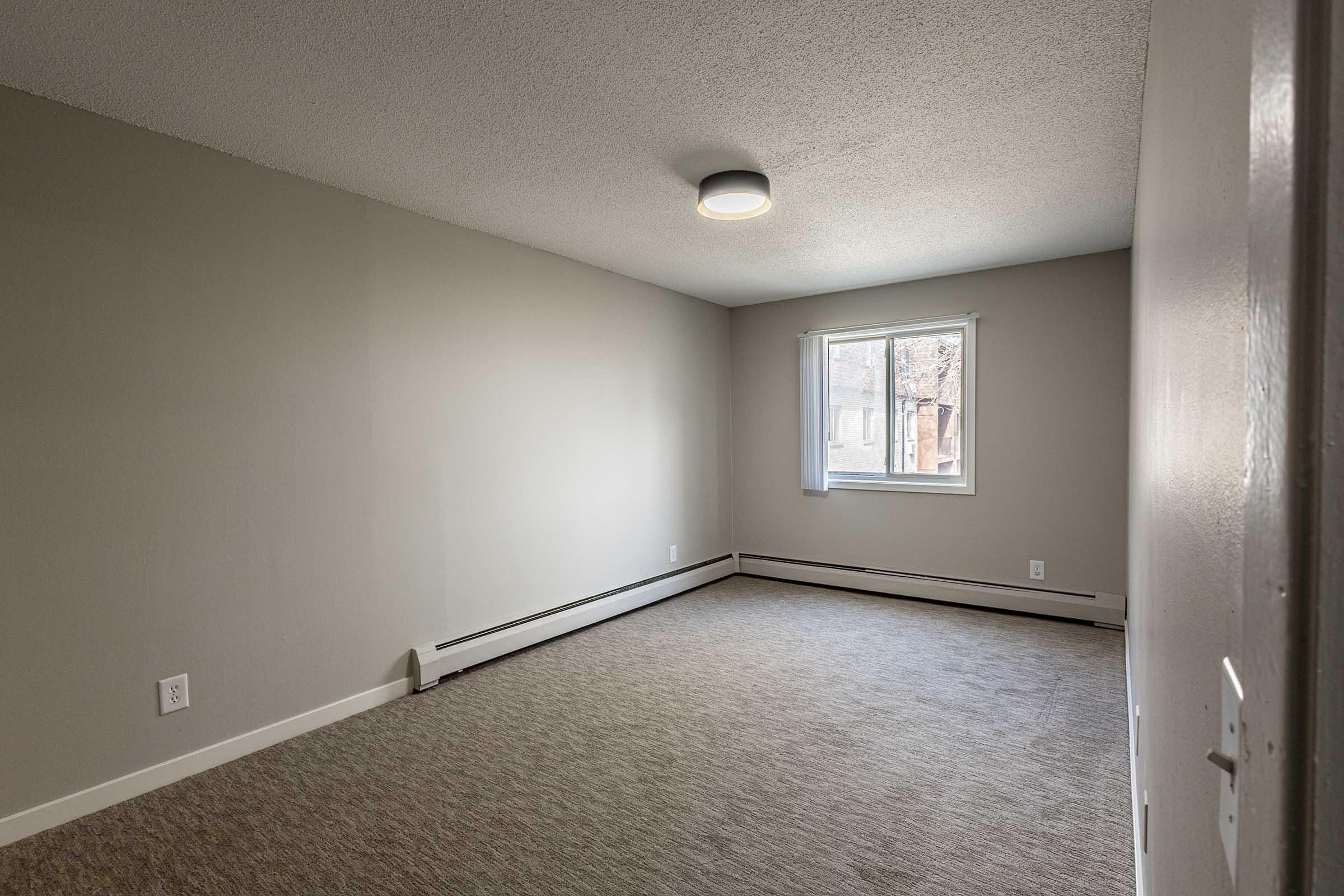 A vacant room with light gray walls, beige carpet, and a modern ceiling light. A window provides natural light, and there's a radiator along one wall. The room appears clean and uncluttered, suitable for various uses.