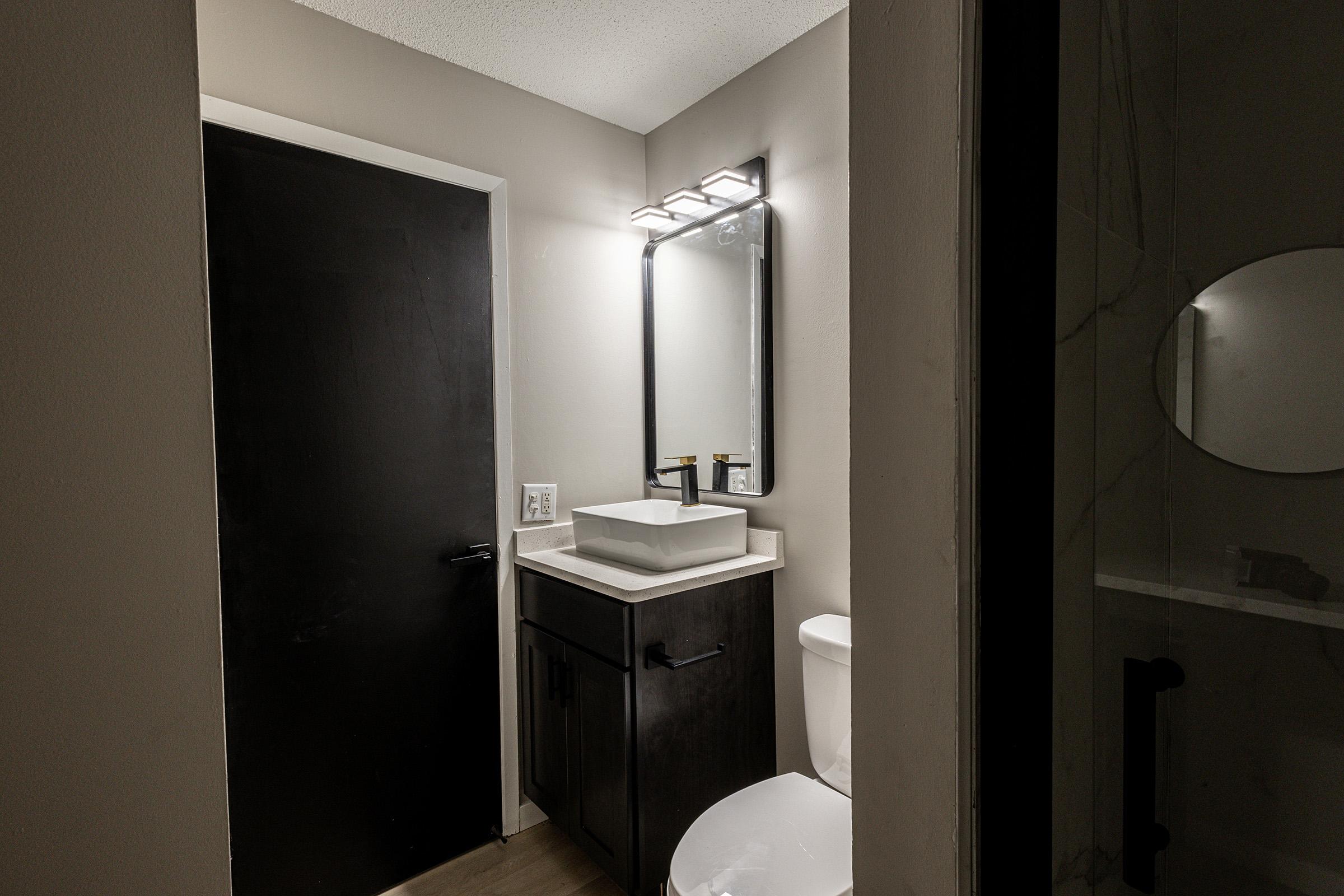 A modern bathroom featuring a black door, a sleek black vanity with a white sink, and a wall-mounted mirror with light fixtures above. A white toilet is positioned beside the vanity, and a frosted entryway leads to a shower area, providing a clean and contemporary look.