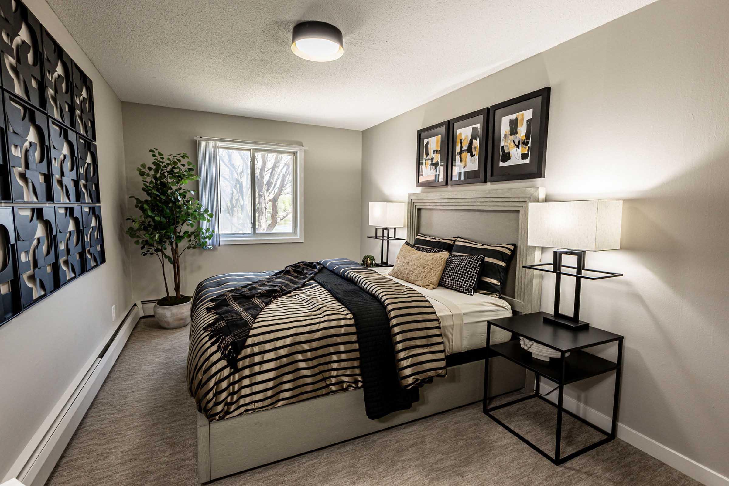 Modern bedroom featuring a bed with striped black and beige bedding, two bedside lamps on black stands, and a decorative plant. The walls are painted a light gray, and there are stylish artworks above the bed. A window lets in natural light, illuminating the cozy space.