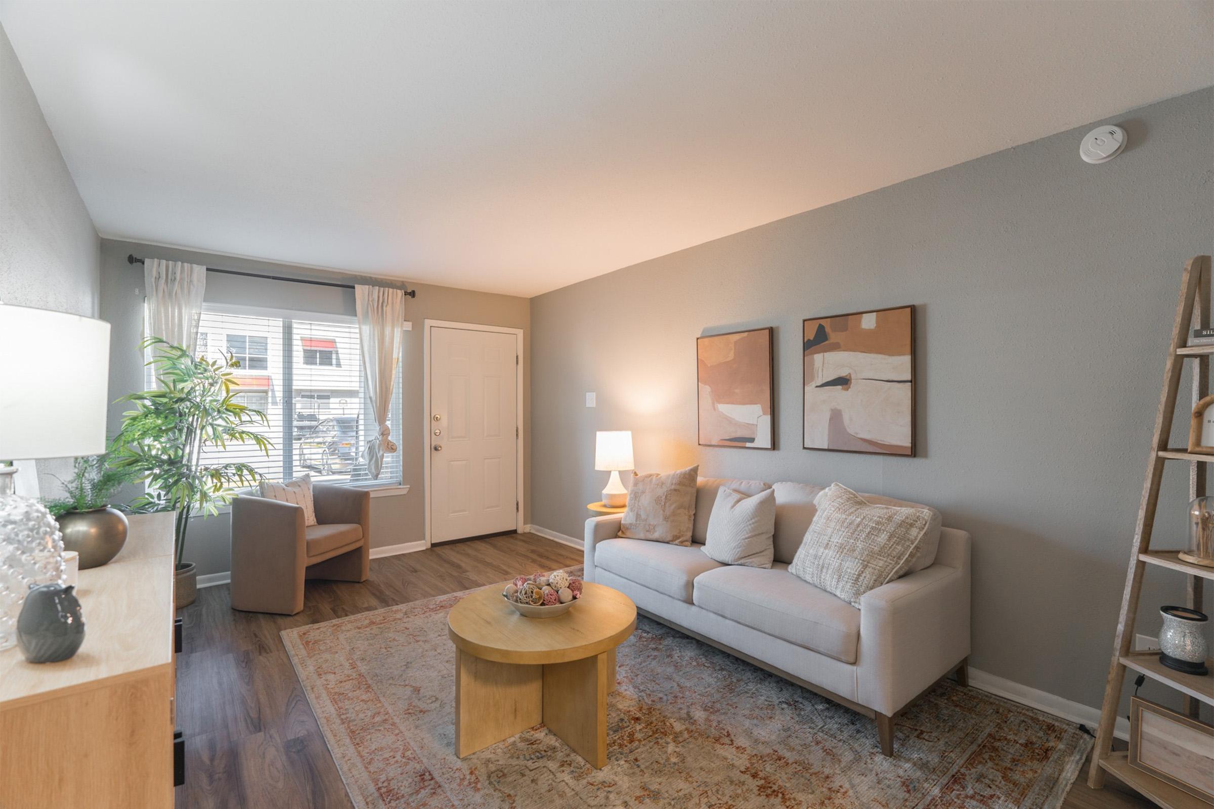 Cozy living room featuring a light gray sofa with decorative pillows, a small round wooden coffee table, and a lamp. A potted plant adds greenery beside the window, which has sheer curtains. The walls are painted in a soft gray, and two abstract art pieces are displayed. A ladder shelf holds decorative items.