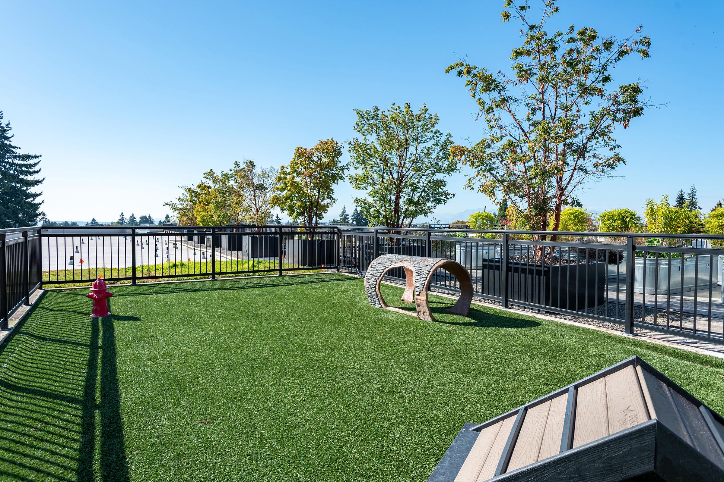 A rooftop space featuring synthetic grass, a red fire hydrant, a wooden tunnel structure, and landscaped trees in planters. The area is bathed in sunlight with a clear blue sky and distant hills visible in the background. Perfect for pets to play and relax.