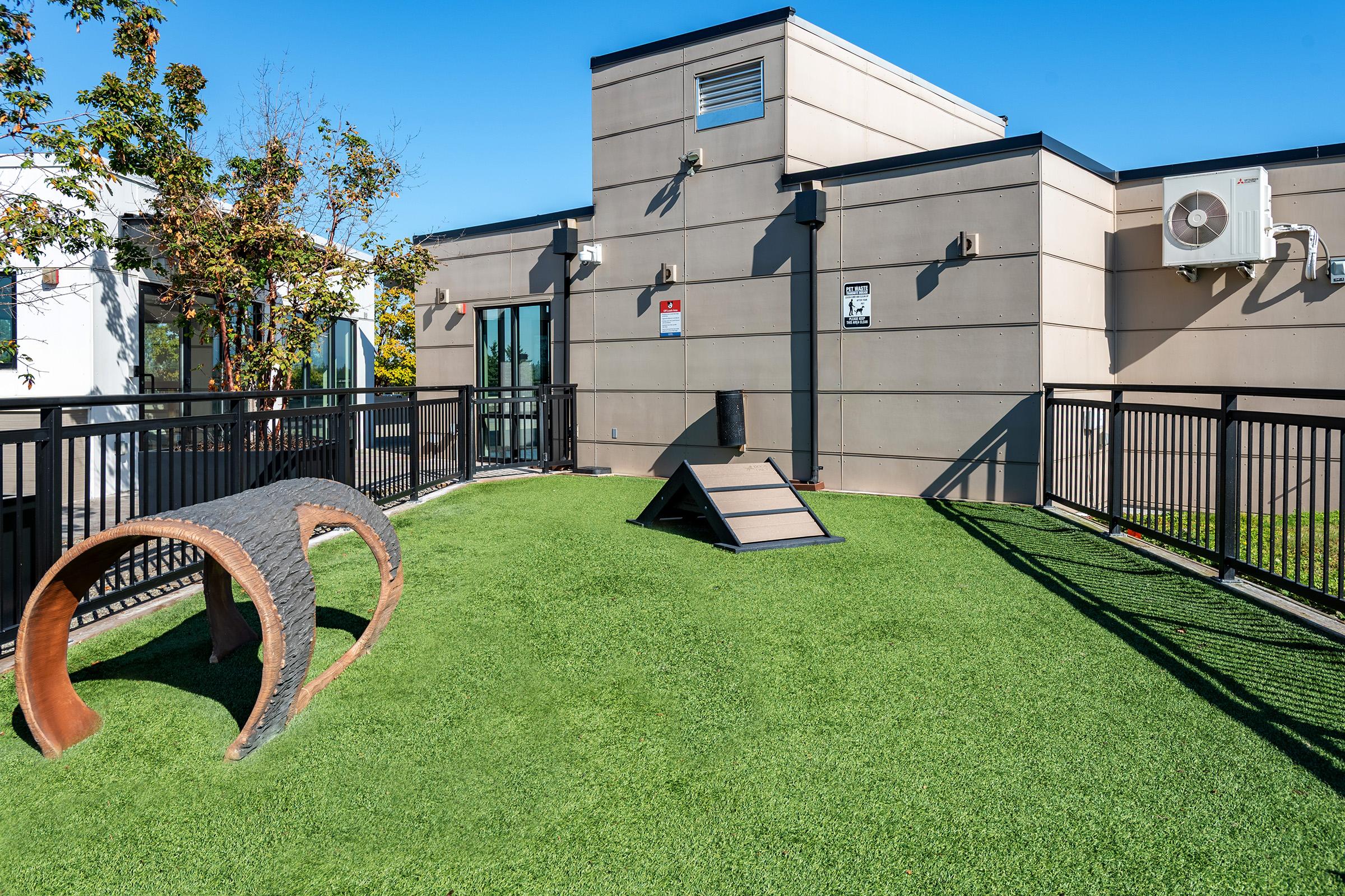 A rooftop dog park featuring artificial grass, climbing equipment, and a curved tunnel. The area is fenced and includes a clear blue sky, creating a bright and inviting environment for pets.