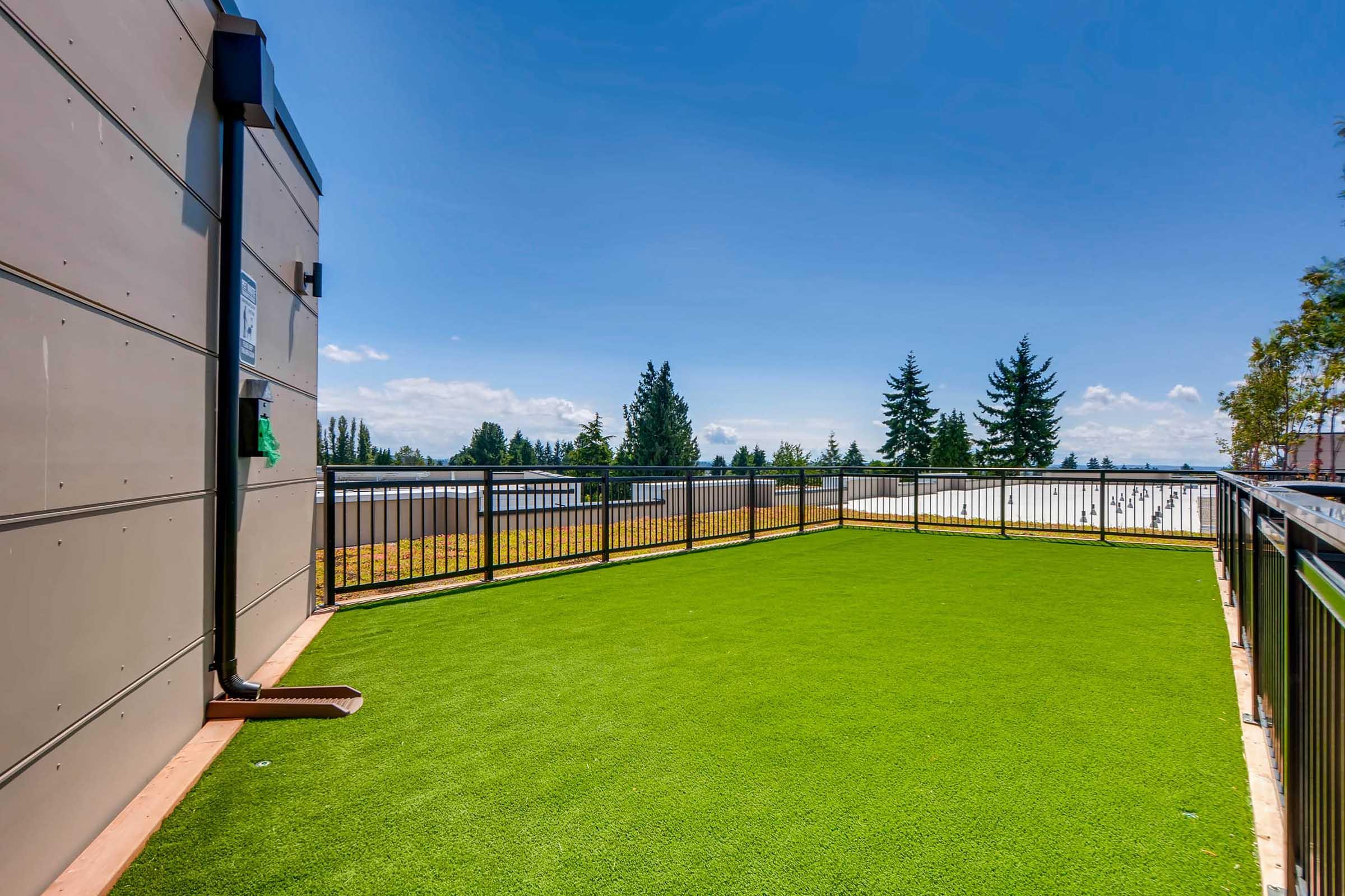 A spacious outdoor area with artificial turf, enclosed by a black metal railing. In the background, a clear blue sky and lush green trees are visible, creating a serene atmosphere. The area appears well-maintained and suitable for relaxation or recreational activities.
