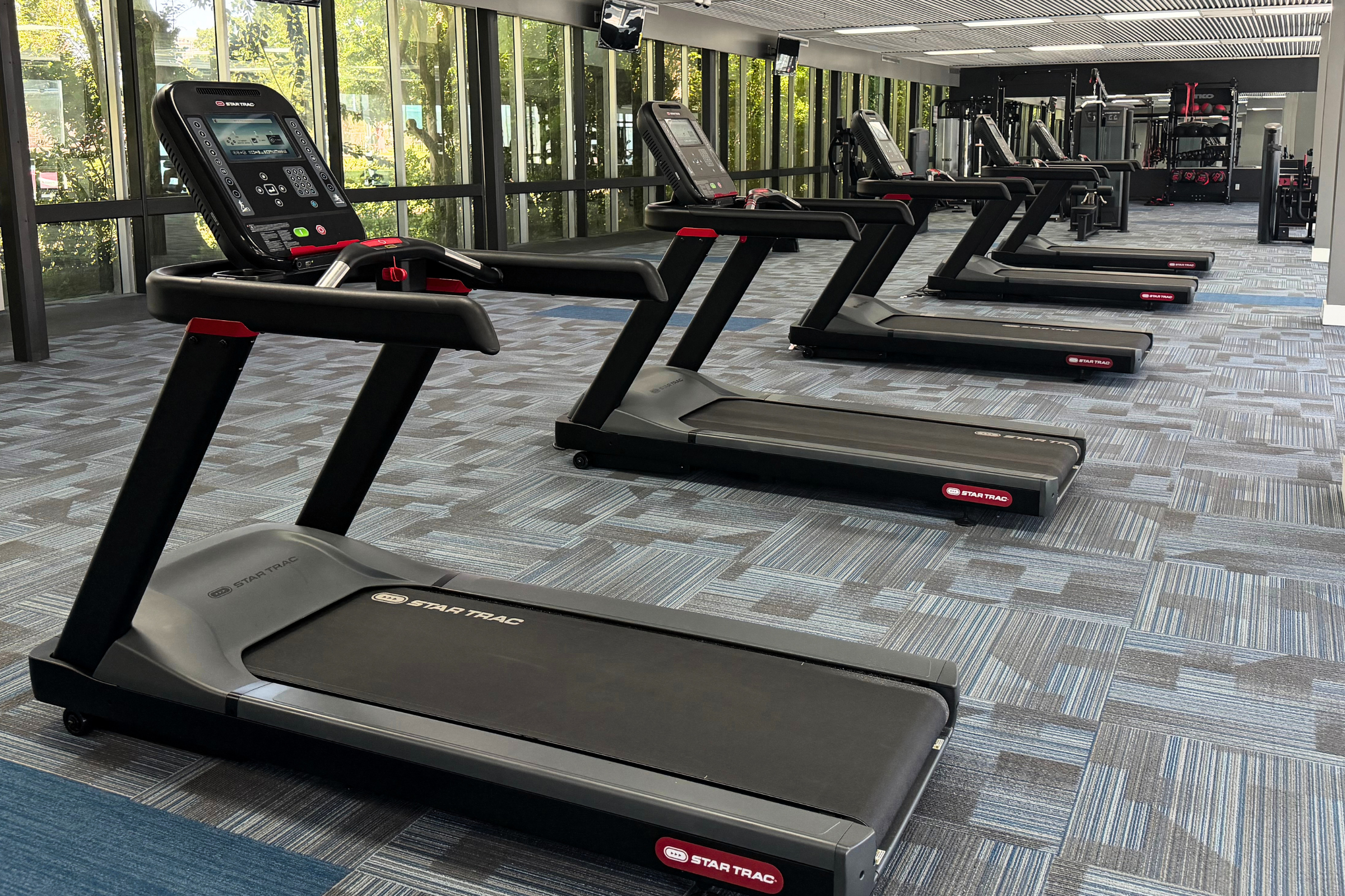 A row of modern treadmills lined up in a well-lit gym space with large windows. The flooring is blue carpet, and fitness equipment is visible in the background. The treadmills feature digital displays and are designed for workout use.