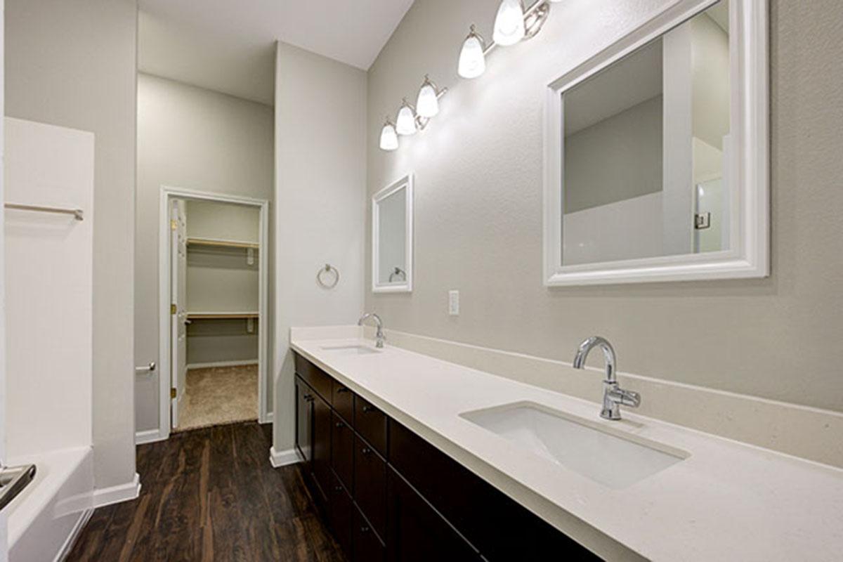 a double sink and large mirror