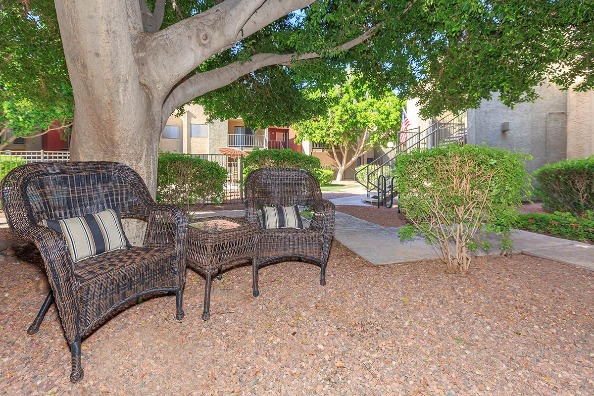 a chair sitting in front of a tree