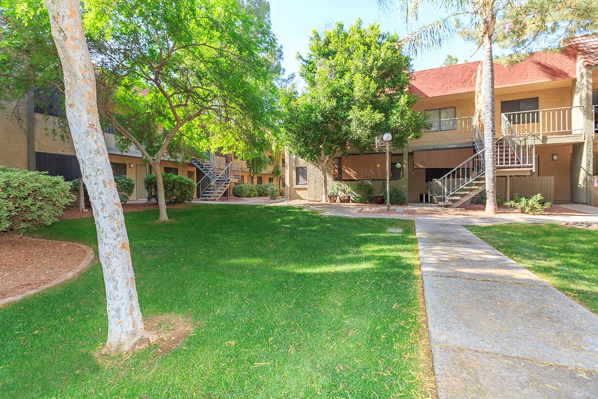 a large lawn in front of a house