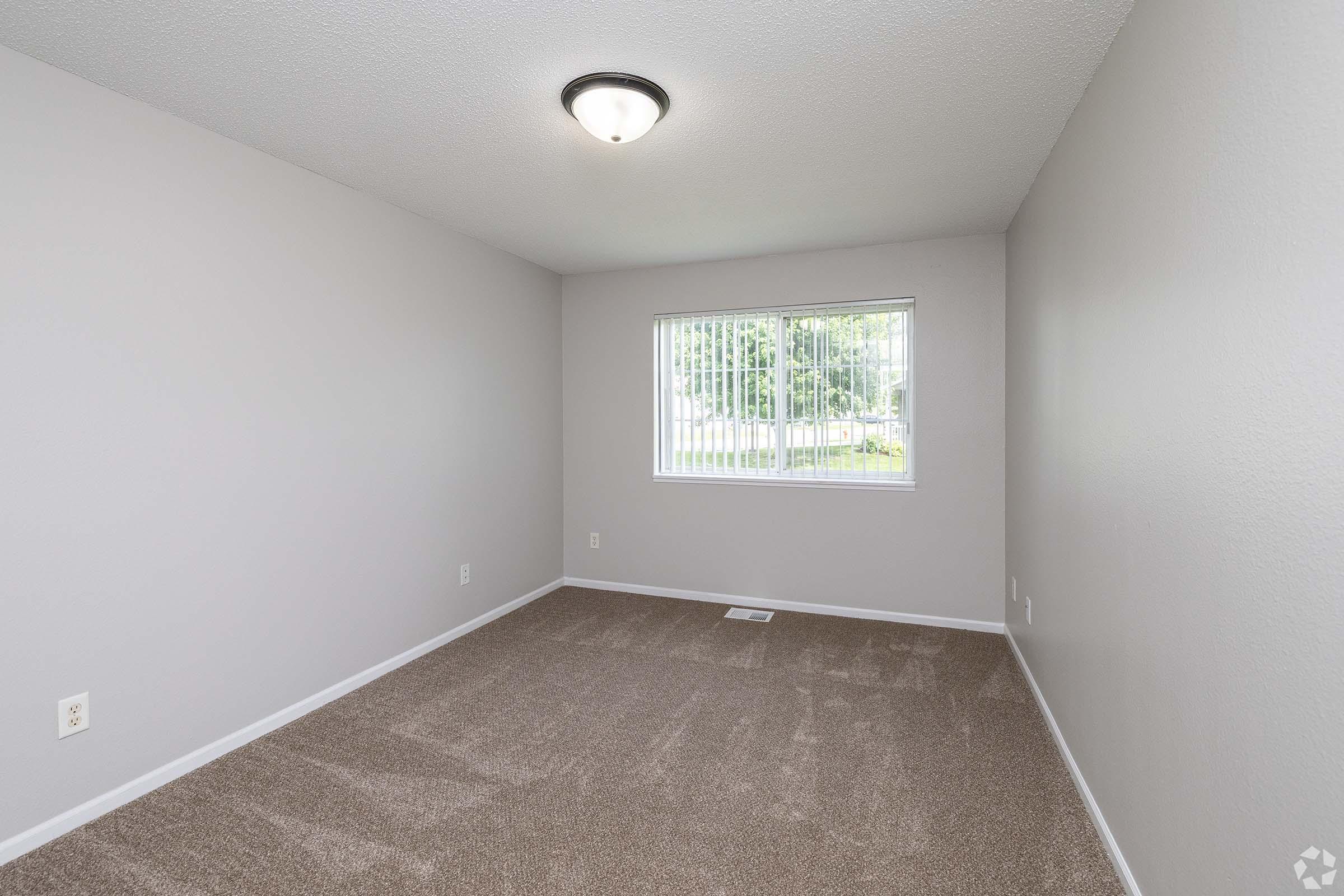 Empty room with light gray walls and a ceiling light fixture. Features a window with blinds, allowing natural light, and carpeted flooring. The space is uncluttered, creating a bright and airy atmosphere.