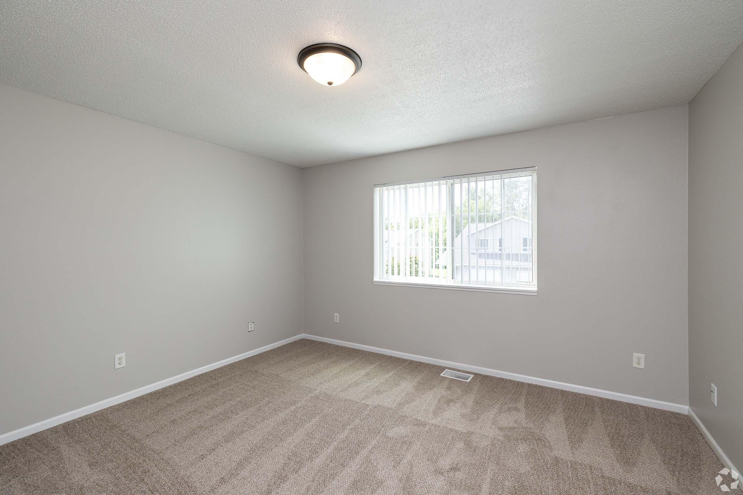 Empty room with light gray walls and a ceiling light fixture. The floor is covered with beige carpet. A window with vertical blinds allows natural light to enter, showing a view of the outdoors. The space is devoid of furniture, emphasizing its spaciousness.