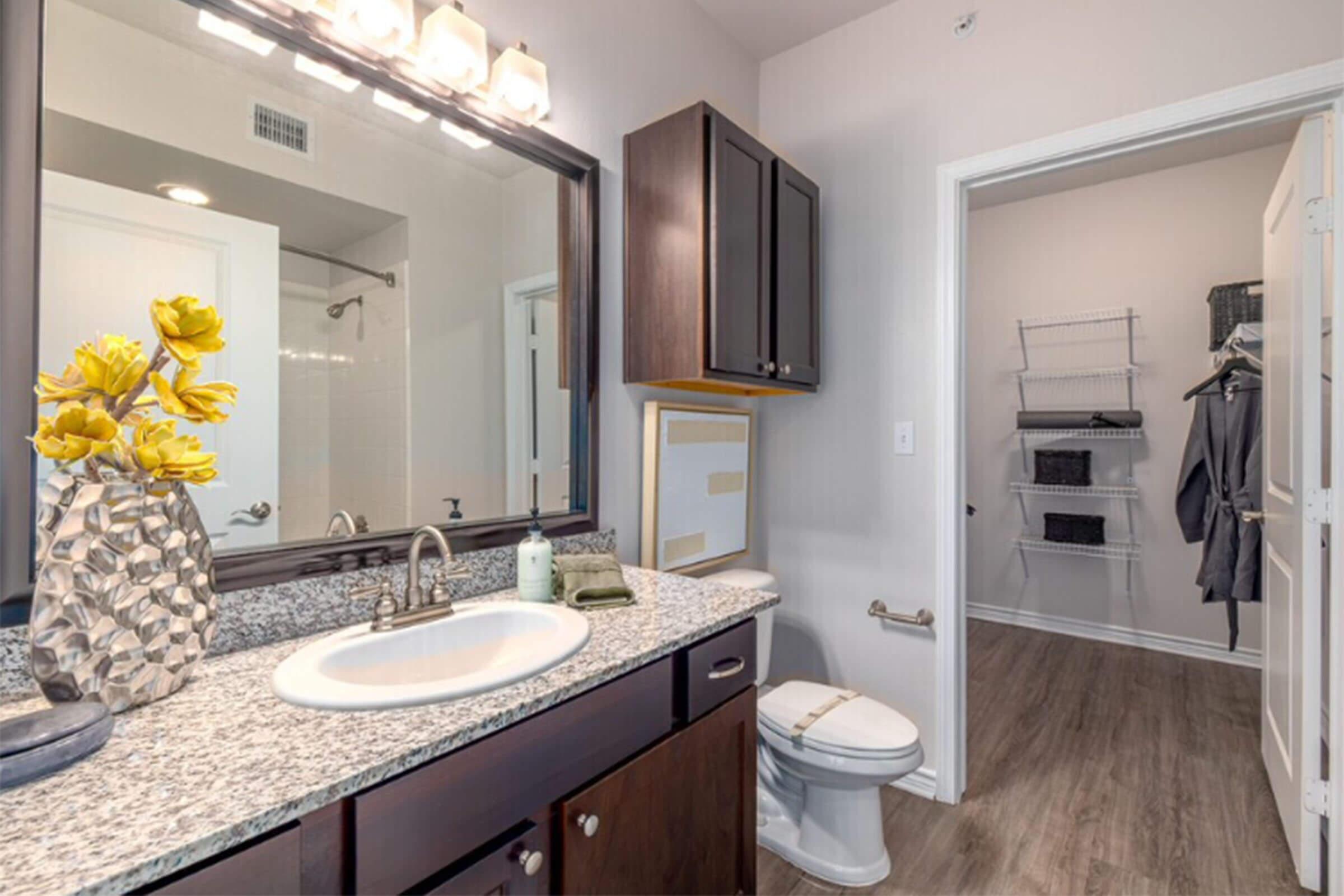 A modern bathroom featuring a granite countertop with a sink and mirror. There’s a decorative vase with yellow flowers, dark wood cabinetry, and a toilet. A closet door is open, revealing shelves with dark storage bins and hanging clothes. The walls are painted a light color, enhancing the space's brightness.