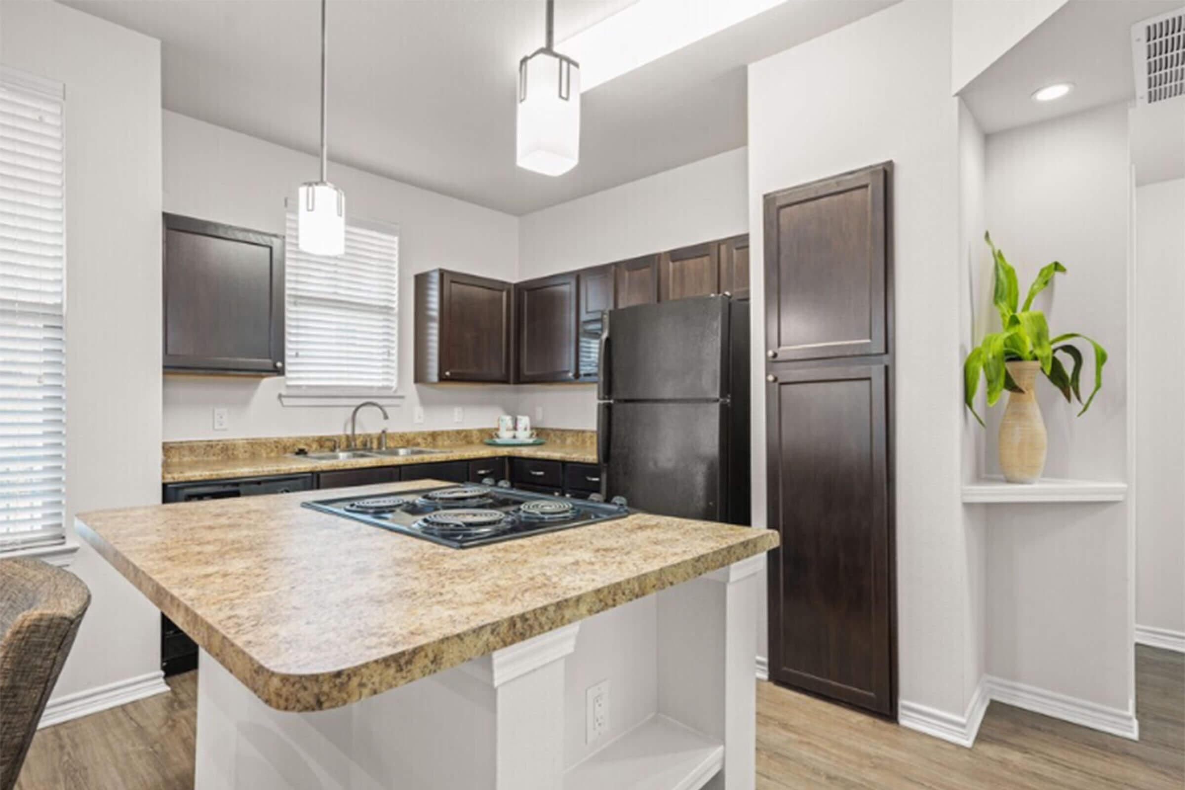 A modern kitchen featuring dark wood cabinets, a granite countertop island with a gas cooktop, and a black refrigerator. Natural light enters through blinds on the windows. A potted plant adds a touch of green, and the clean, minimalist design emphasizes functionality and style.