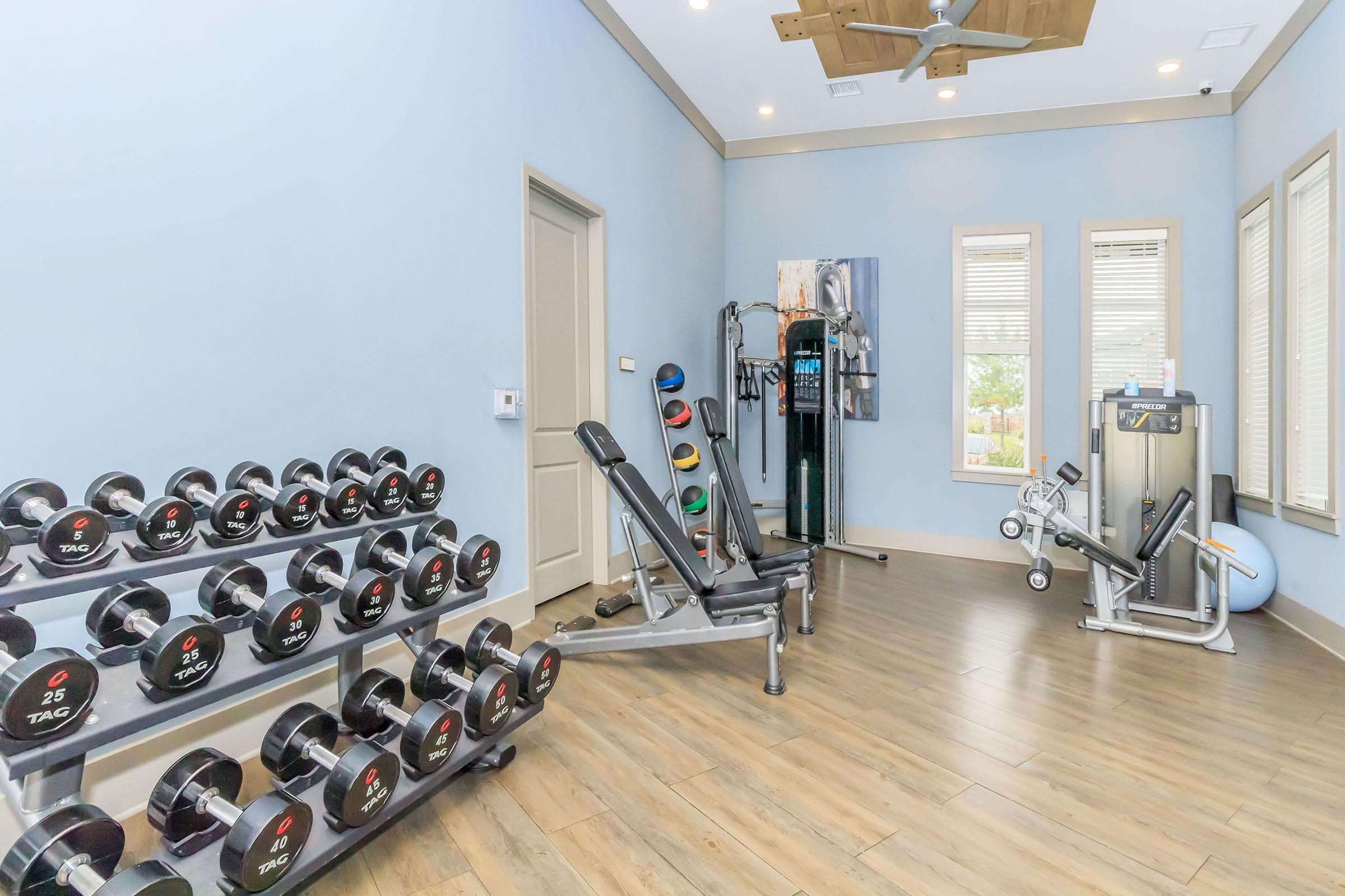A well-equipped exercise room featuring a rack of dumbbells, a weight bench, a multi-station gym machine, and a cardio bike. The walls are painted light blue, and there are large windows providing natural light. The flooring is wooden, creating a warm and inviting atmosphere for workouts.