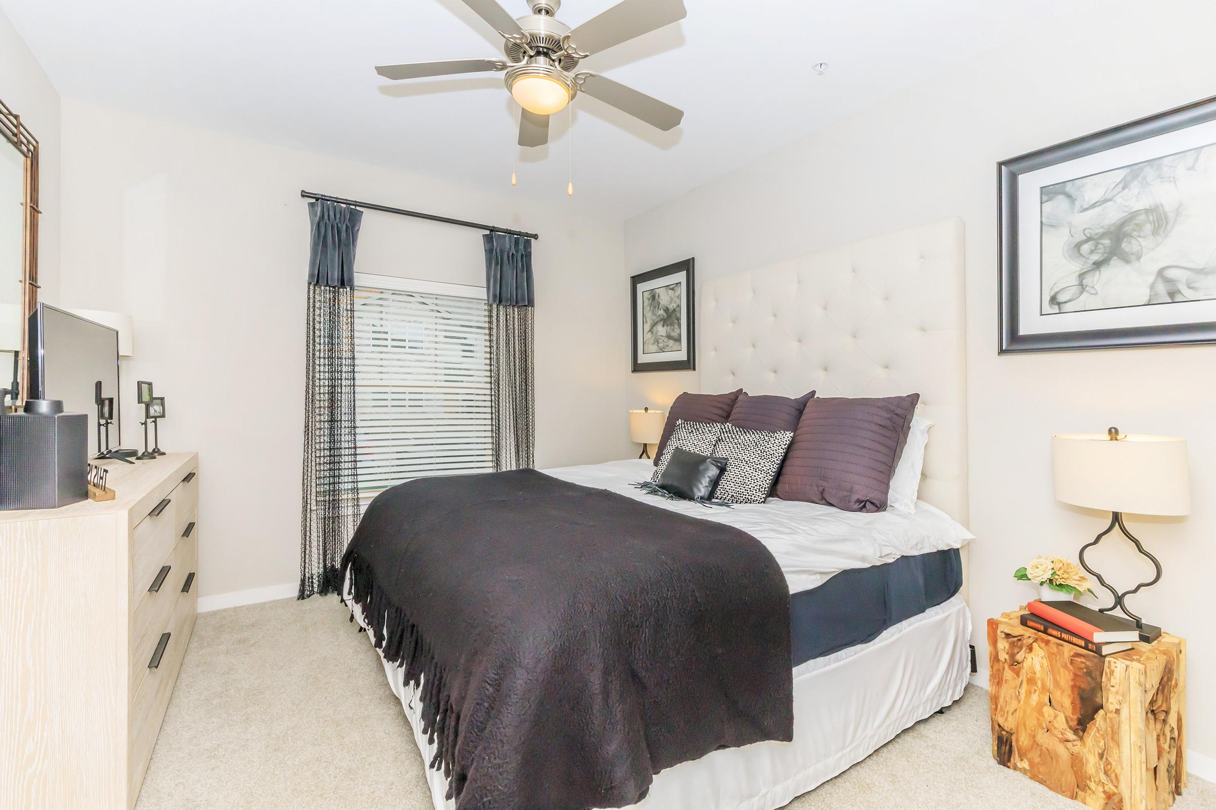 A cozy bedroom featuring a queen-sized bed with plush purple pillows and a black blanket. The walls are light-colored, and there's a ceiling fan above. A window with sheer curtains lets in natural light. Decorative elements include framed art on the walls, a bedside table with a lamp, and a wooden accent piece.