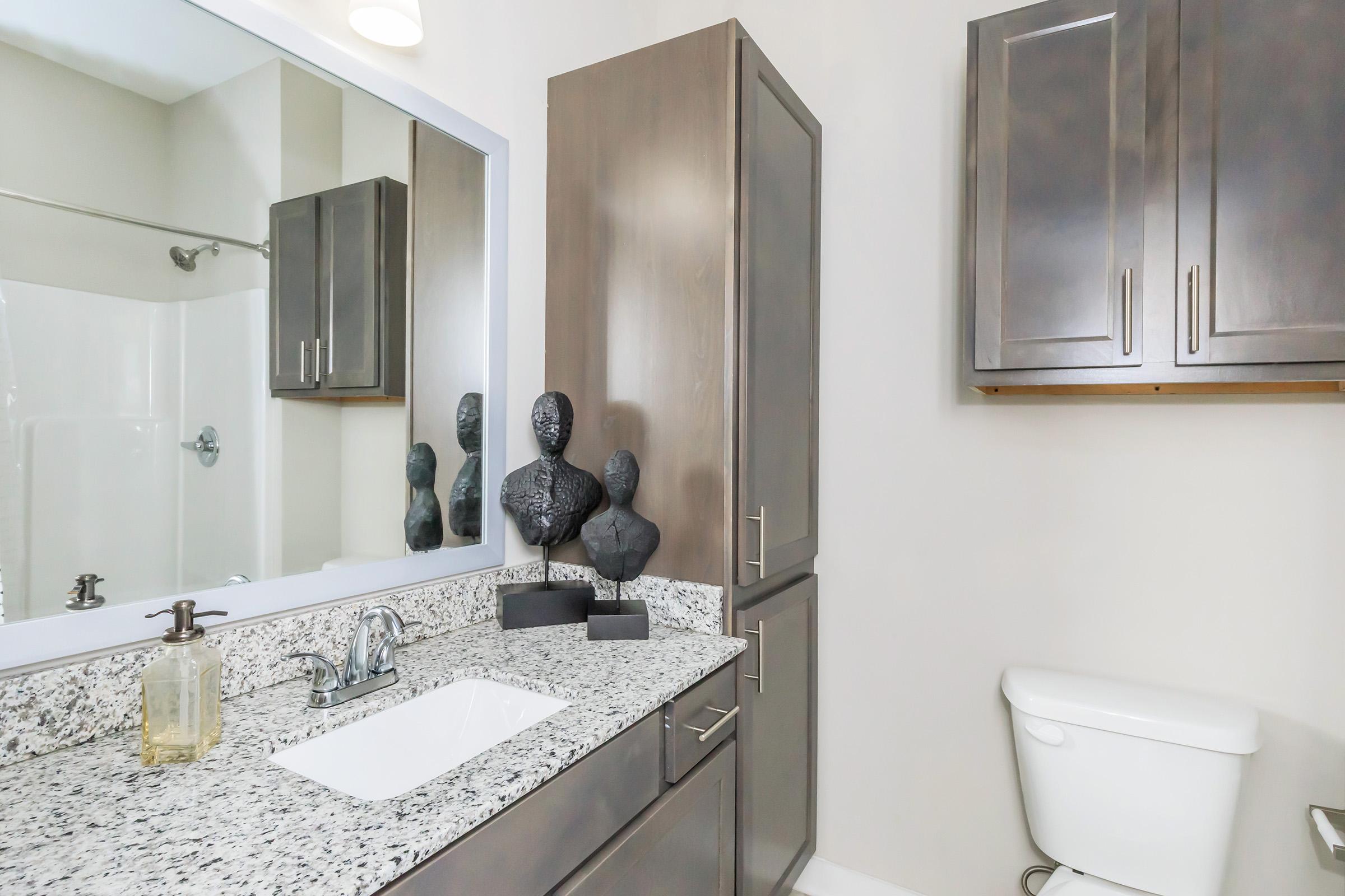 A modern bathroom featuring a granite countertop with a sink, decorative sculptures on the surface, a large mirror, and a shower area. The bathroom is designed with dark cabinetry and a white toilet, creating a stylish and functional space.