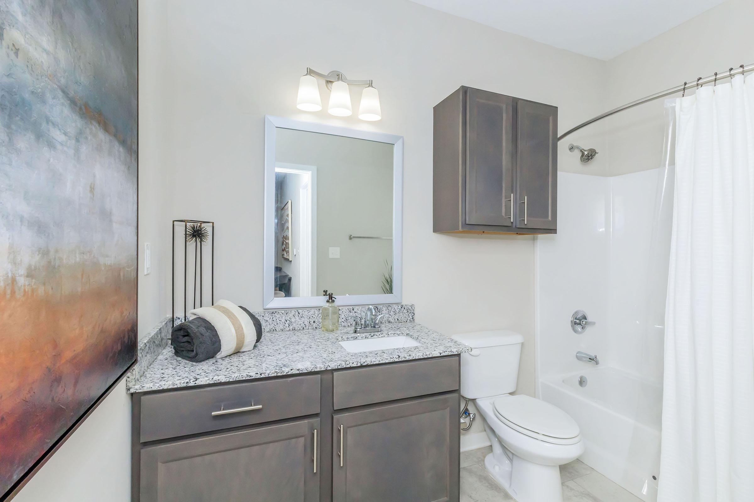 A modern bathroom featuring a granite countertop with a sink, a large mirror above, a decorative painting on the wall, and a white bathtub with a shower curtain. There is a toilet and storage cabinet with towels neatly placed on the countertop.
