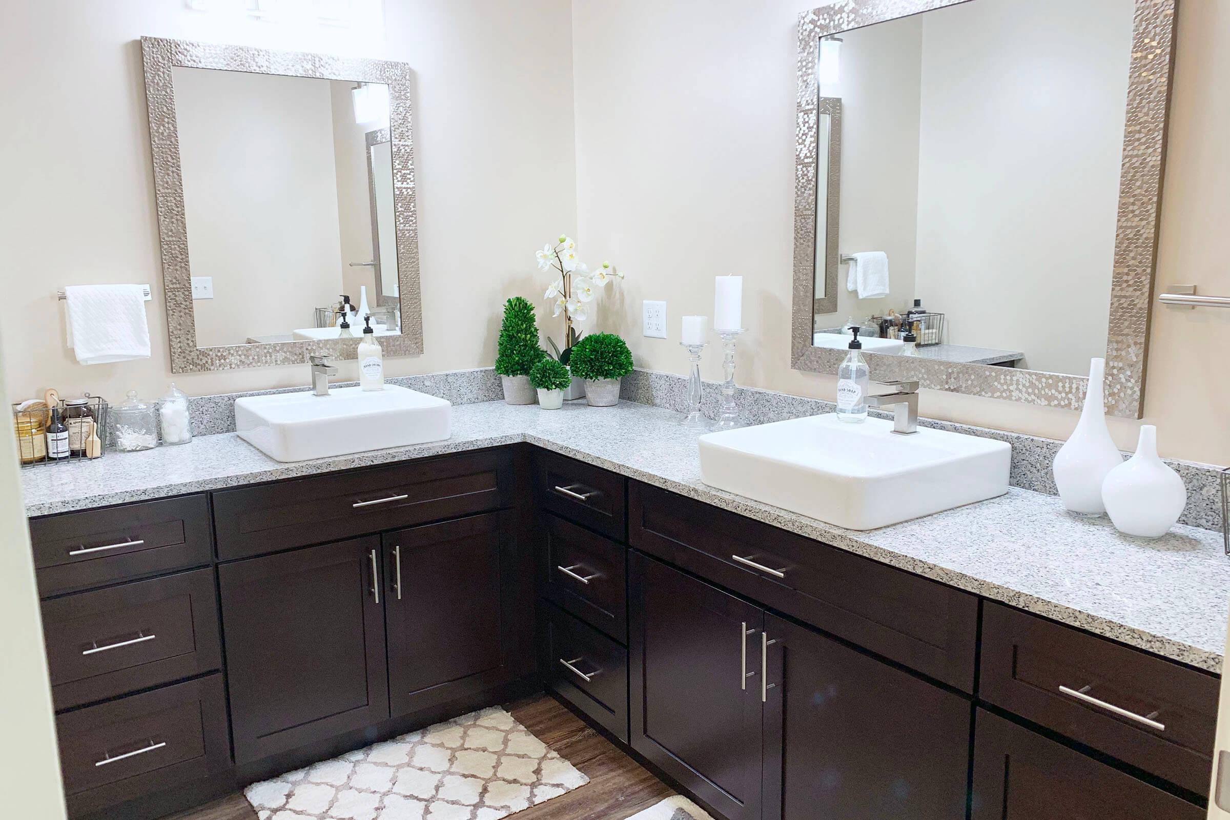 a double sink and large mirror