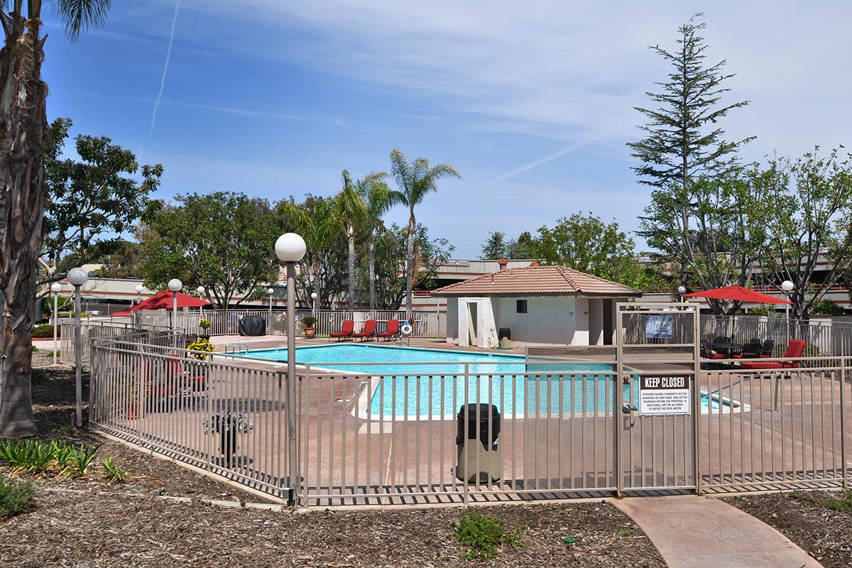 a group of palm trees and a fence