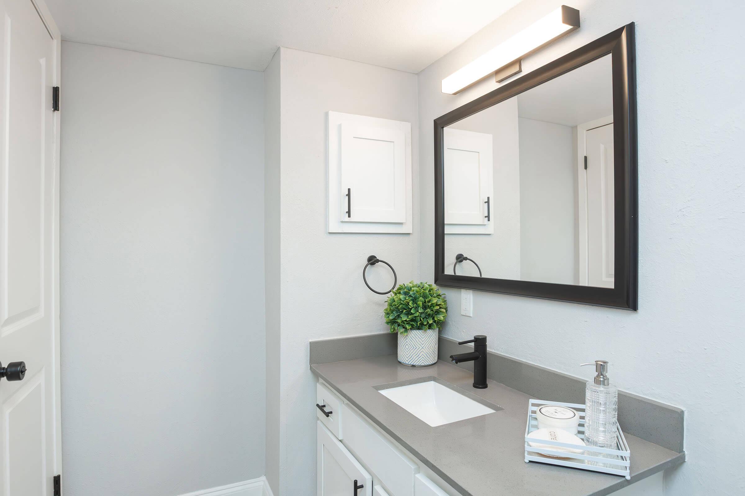 Modern bathroom featuring a sleek countertop with a sink, black faucet, and decorative items. The wall is painted light gray, with a large rectangular mirror above the sink and a small potted plant. White cabinetry with black accents and a towel ring add to the minimalist design.