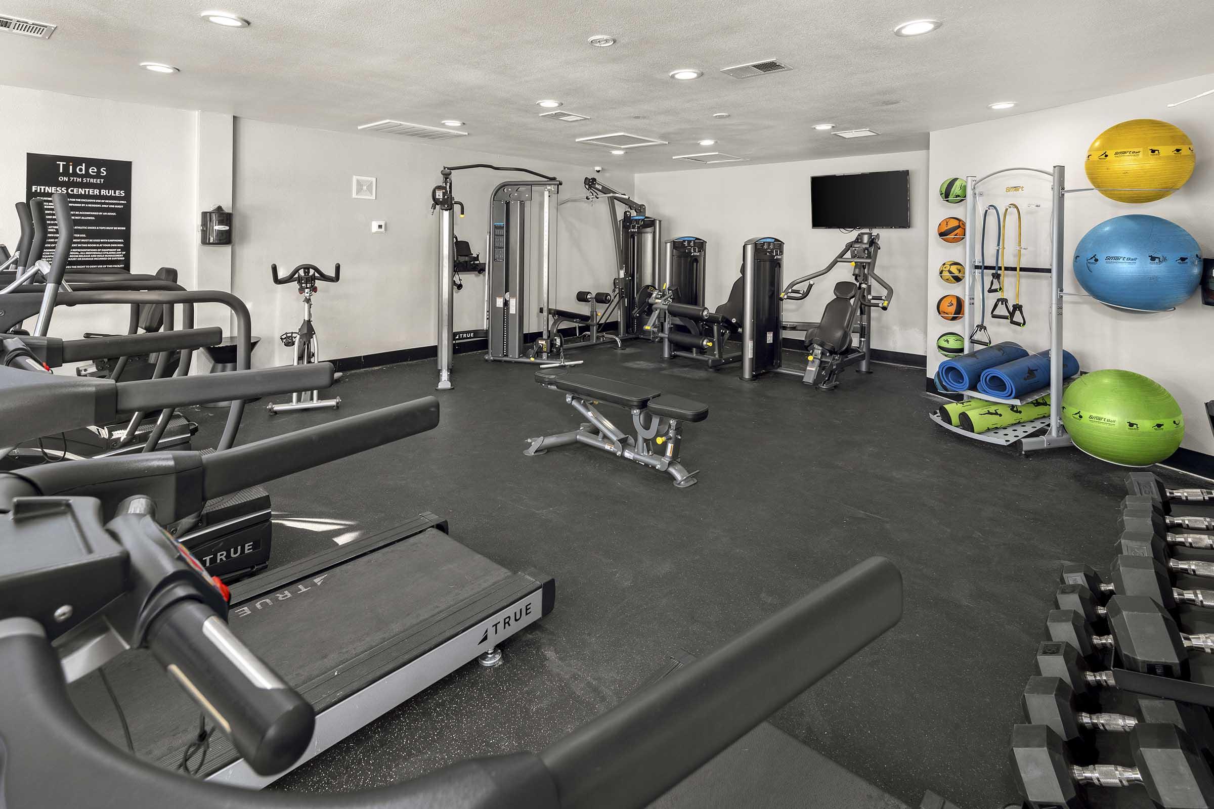 A modern gym interior featuring various exercise equipment, including treadmills, a weight bench, and strength training machines. Colorful stability balls and foam rollers are neatly stored on a rack, while workout weights are arranged on a shelf, all set against a sleek, dark flooring.