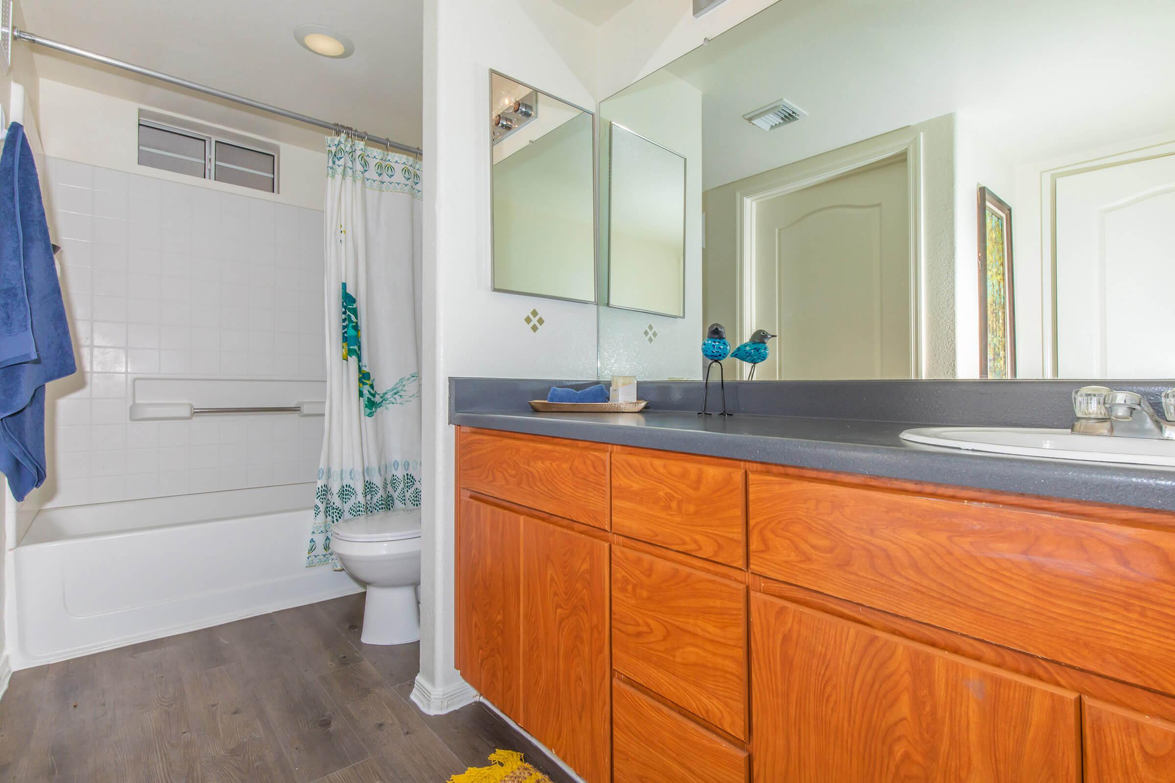 LARGE BATHROOMS WITH ROOMY COUNTERS AND CABINETS