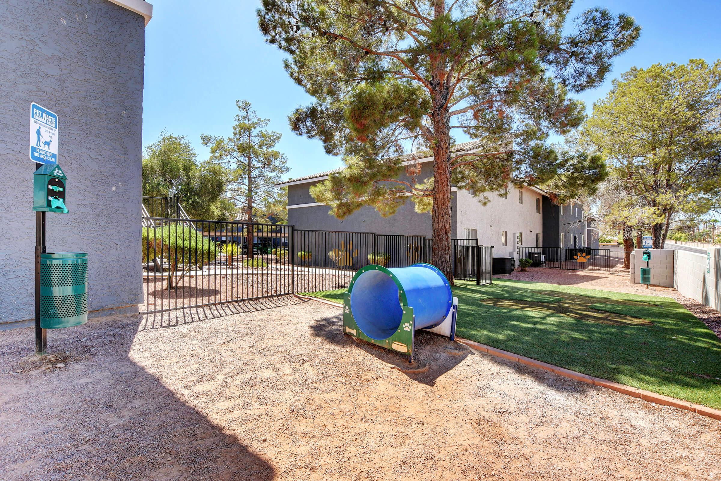 Play Fetch Here at Sunset Hills, Henderson, Nevada