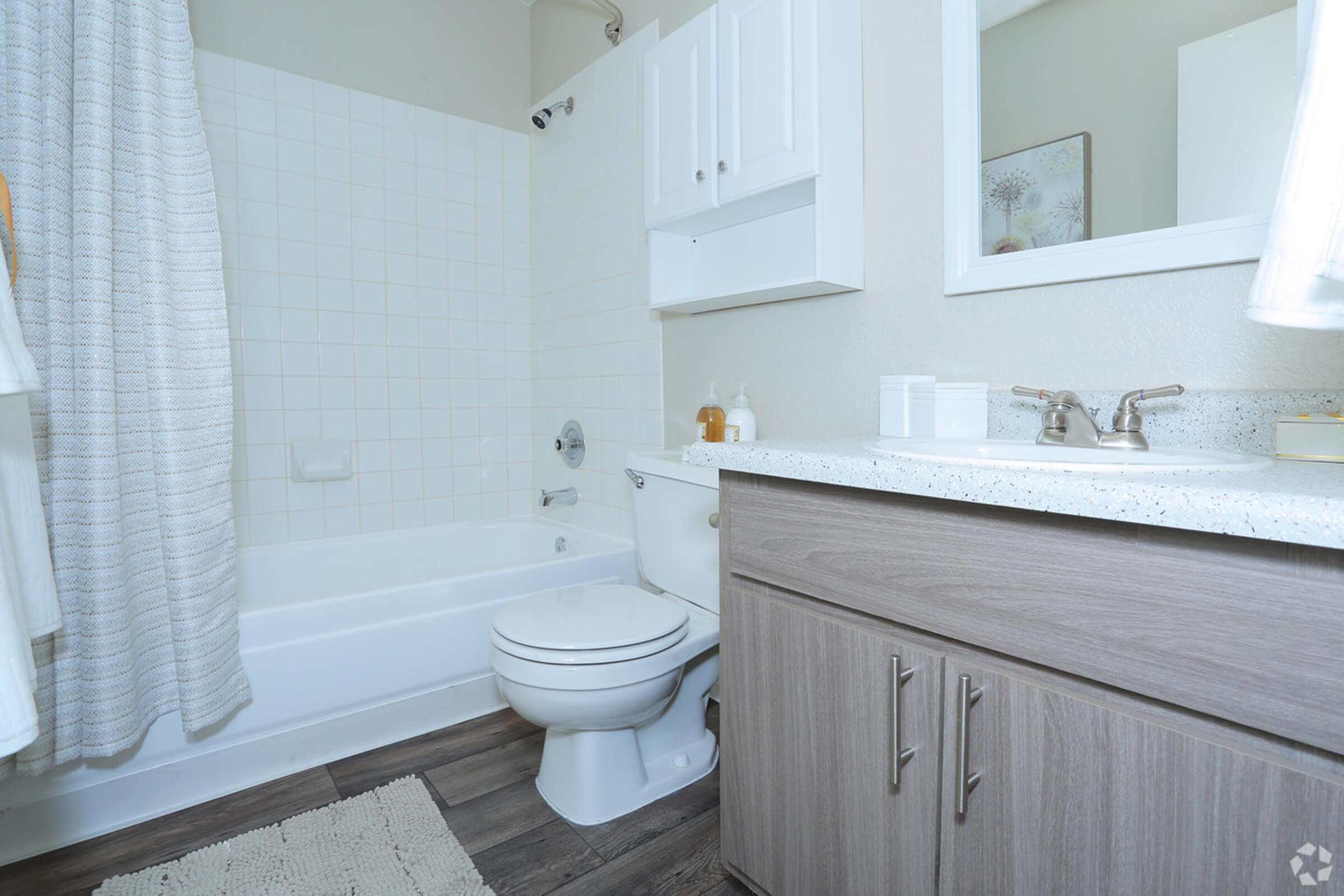 sunset-hills-apartments-henderson-nv-2br-2ba---960-sf-master-bathroom.jpg