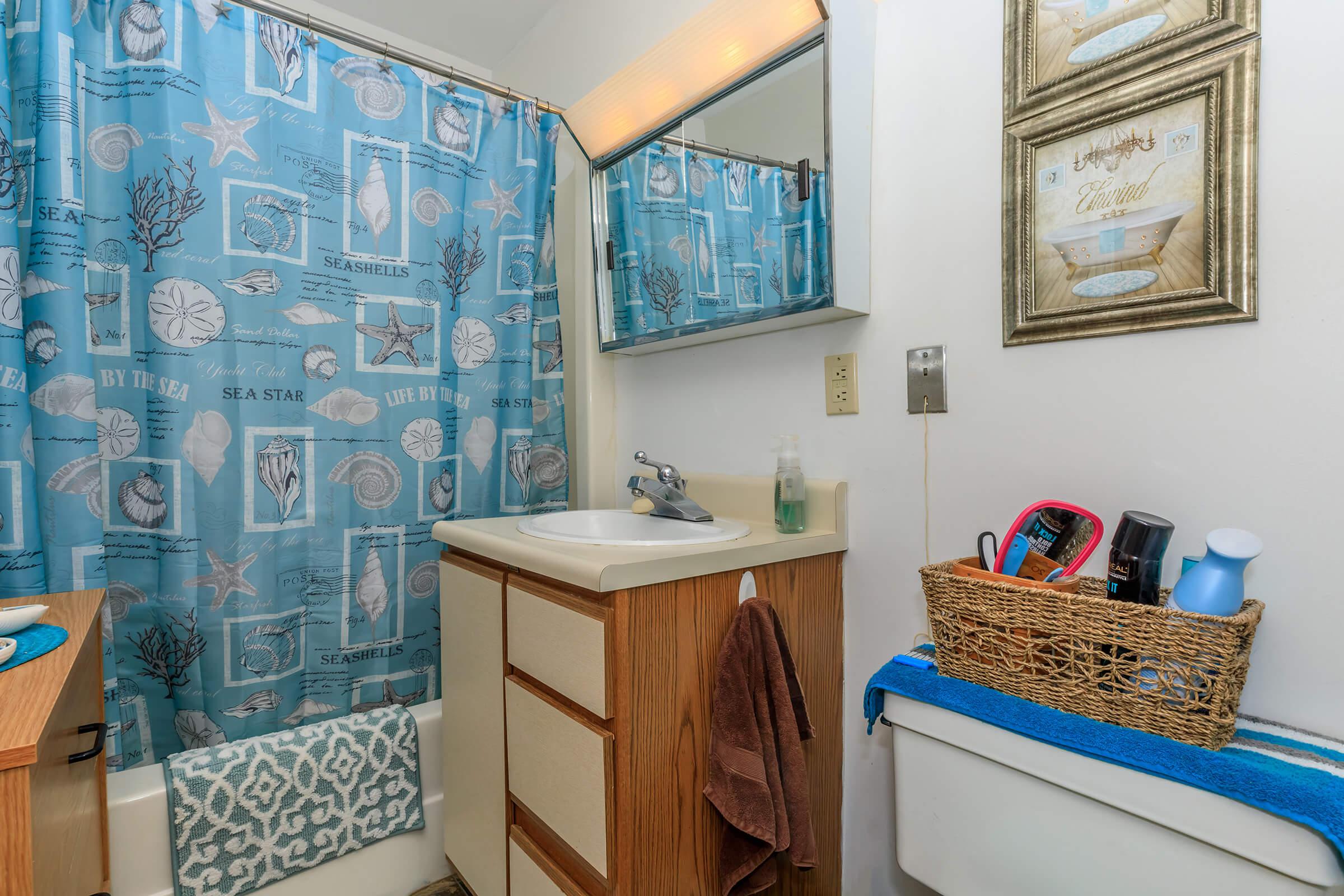 a blue and white shower curtain