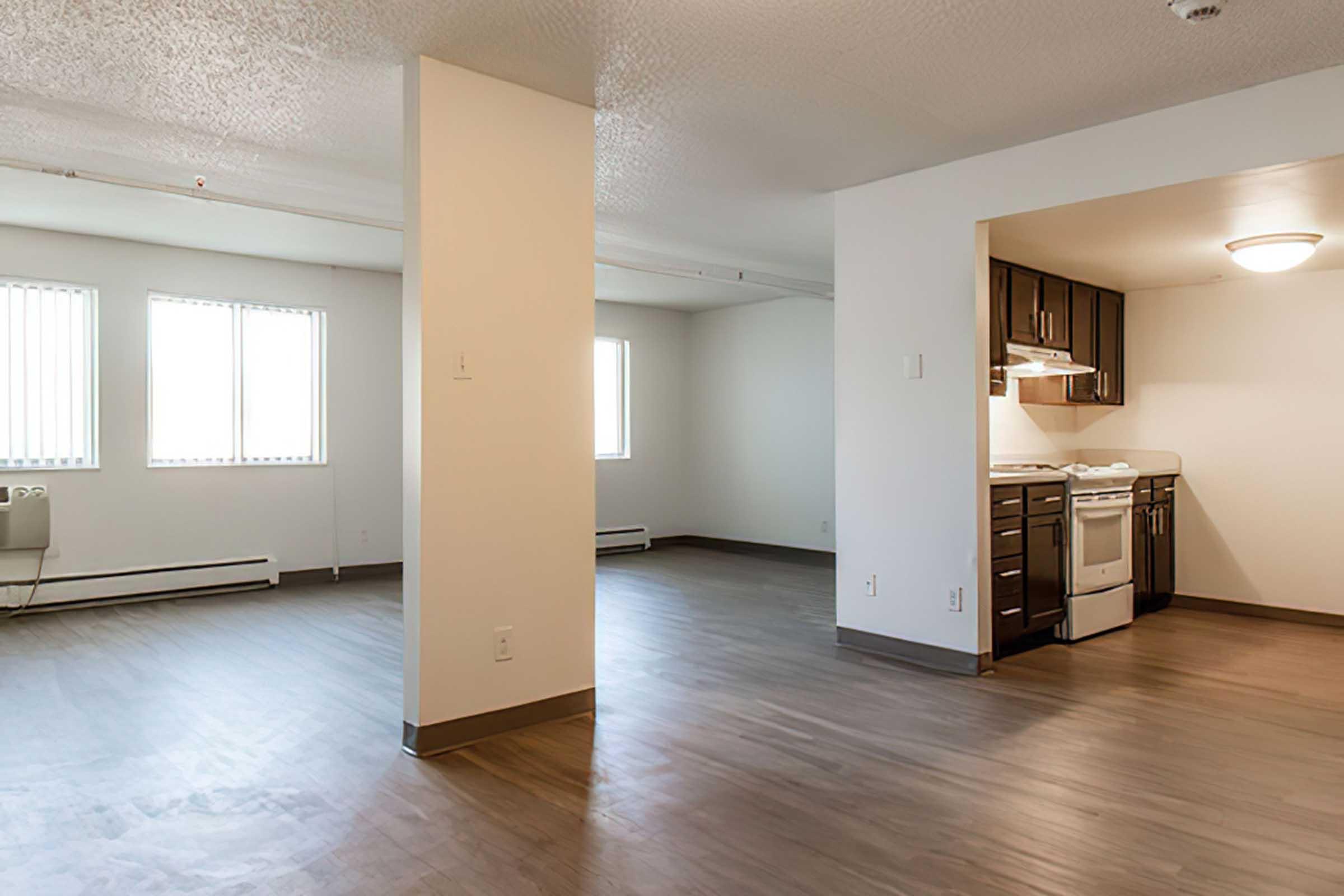 An interior view of a spacious apartment featuring an open floor plan. Light-colored walls and flooring contrast with dark kitchen cabinetry. Large windows allow natural light to fill the space, highlighting the modern appliances in the kitchen. The layout emphasizes functionality and comfort.