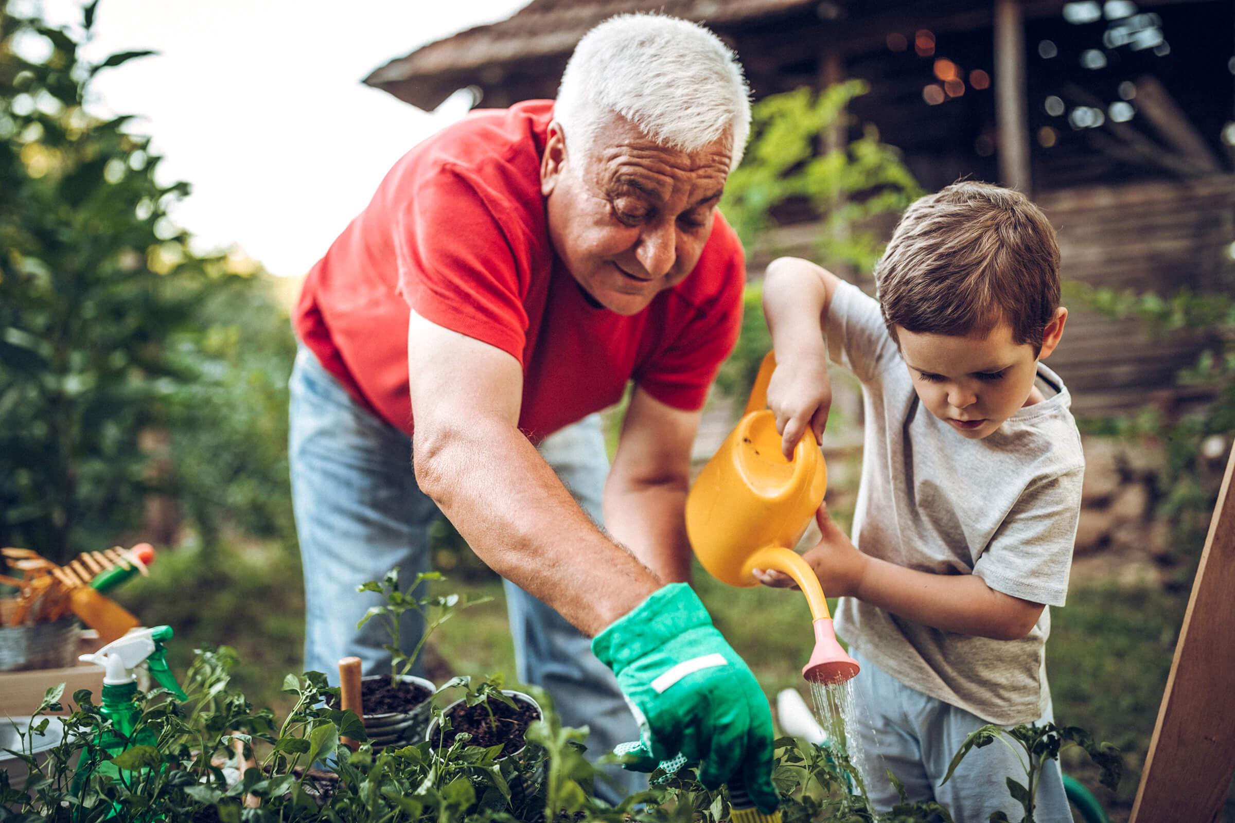 a older man and a young child watering flowers