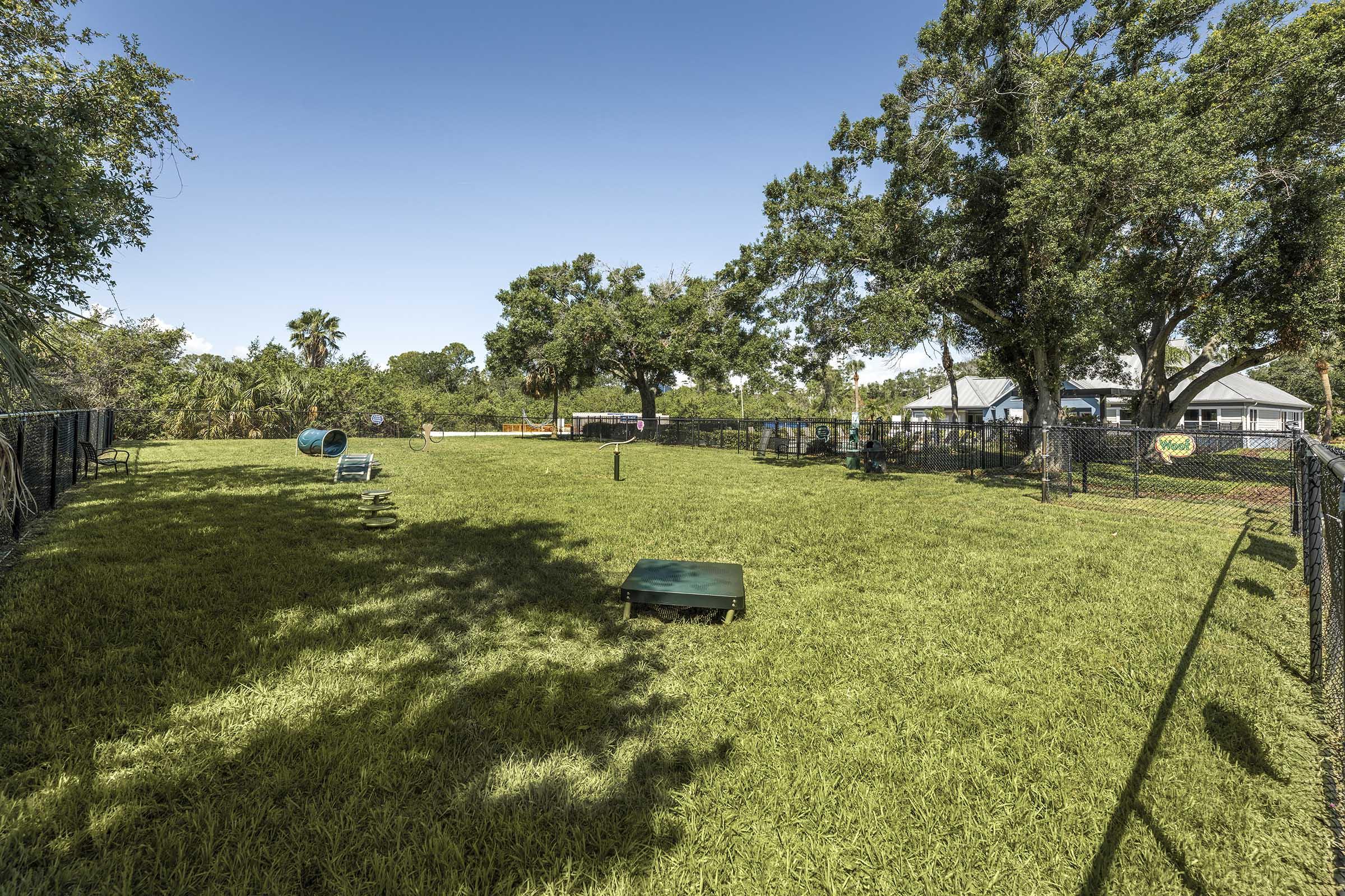 A spacious, green outdoor area surrounded by trees and fencing. The scene includes various play equipment for pets, such as tunnels and platforms. Bright blue sky overhead, creating a sunny atmosphere ideal for outdoor activities.