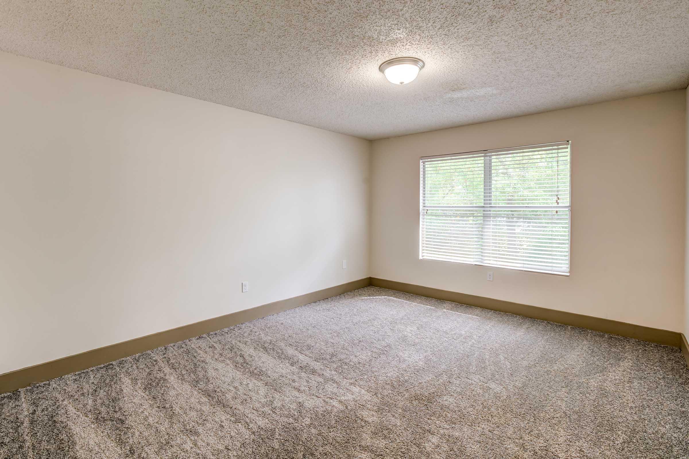 Empty room with light-colored walls and textured carpet. A large window with blinds allows natural light, and a ceiling light fixture is present. The flooring is carpeted, and the space is unfurnished, creating an open and airy feel.