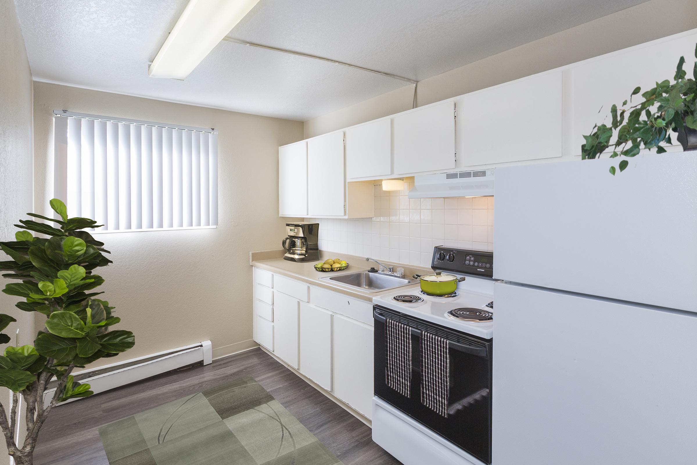 A bright and tidy kitchen featuring white cabinets, a countertop with a sink, a refrigerator, and a stove. A coffee maker is on the counter, complemented by a bowl of fruit. Vertical blinds cover a window, and a small potted plant adds a touch of greenery. The floor has a subtle textured rug.