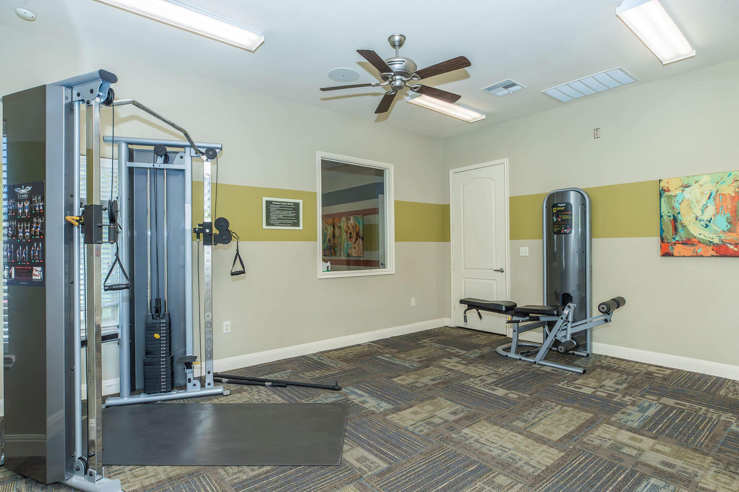 A modern gym interior featuring a cable machine, a weight bench, and a fan. The walls are painted in light colors with an accent strip. A mirror reflects the gym equipment, and an abstract painting is displayed on one wall. The flooring is carpeted with a textured design.