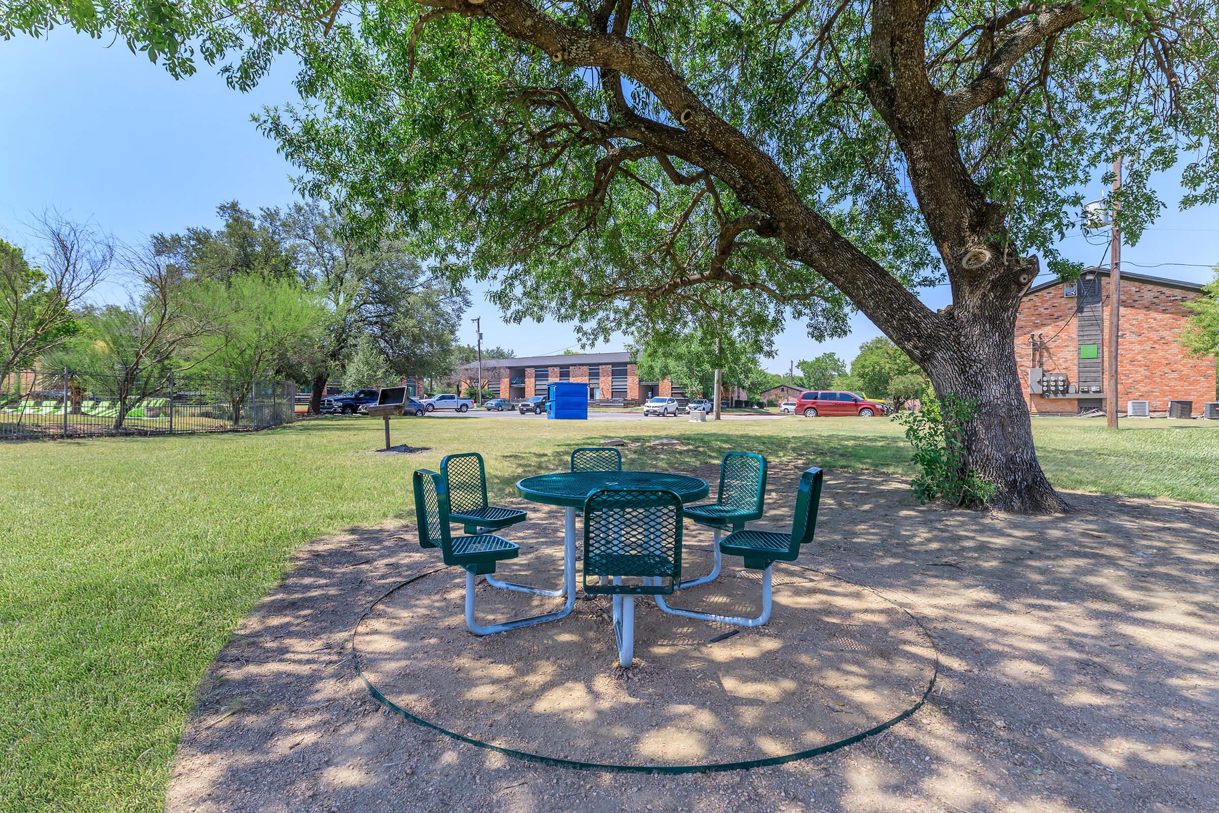 an empty park bench next to a tree