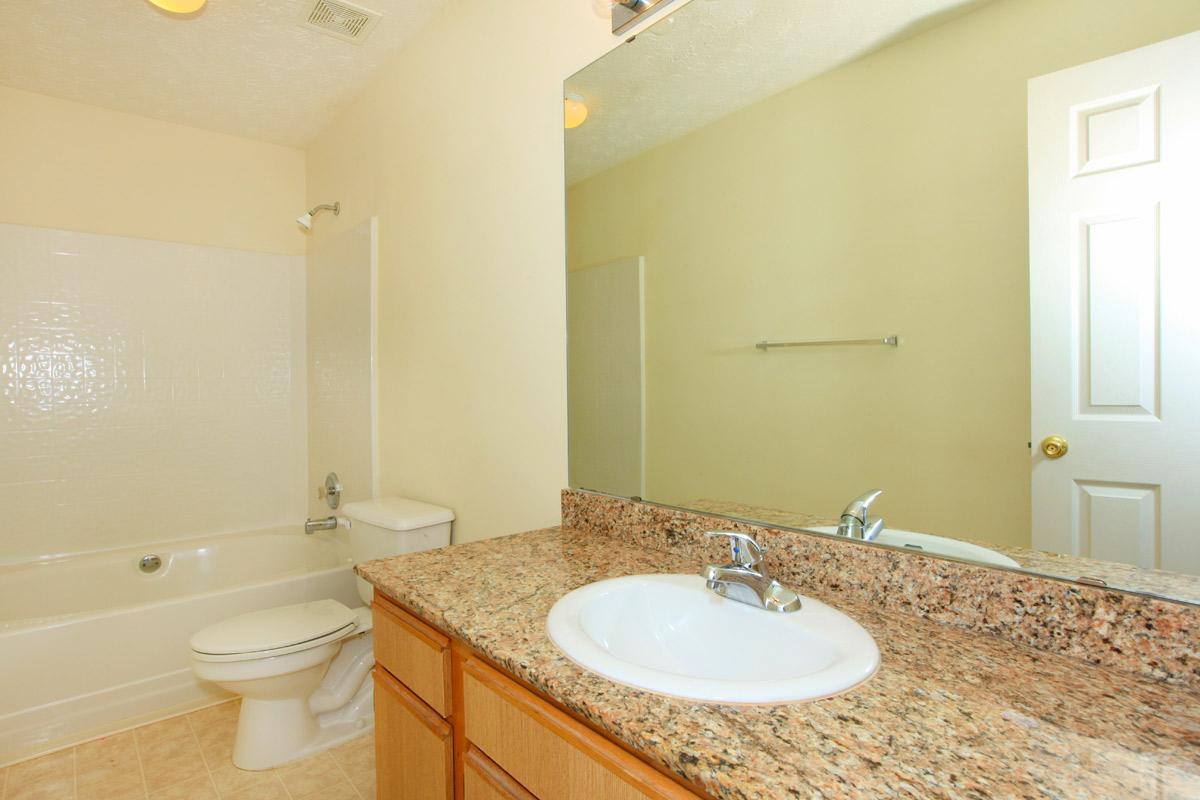 a double sink and large mirror