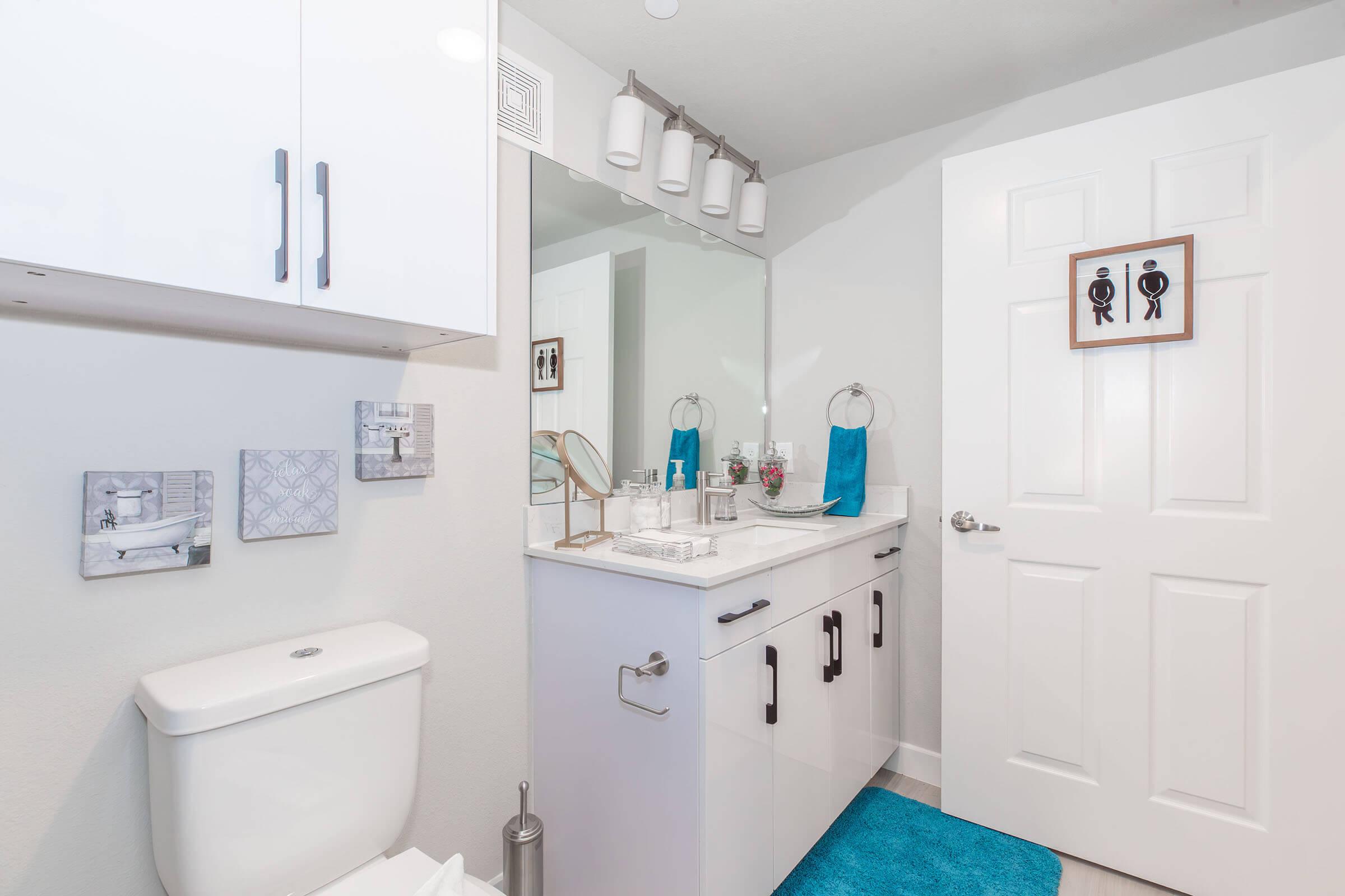 A modern bathroom featuring a clean design, white walls, and a vanity with sink and storage. There's a toilet, decorative wall art, and a blue rug on the floor. A mirror above the sink reflects the space, and there's a door with gender symbols indicating the restroom.