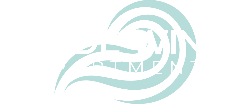 Trade Winds ebrochure logo
