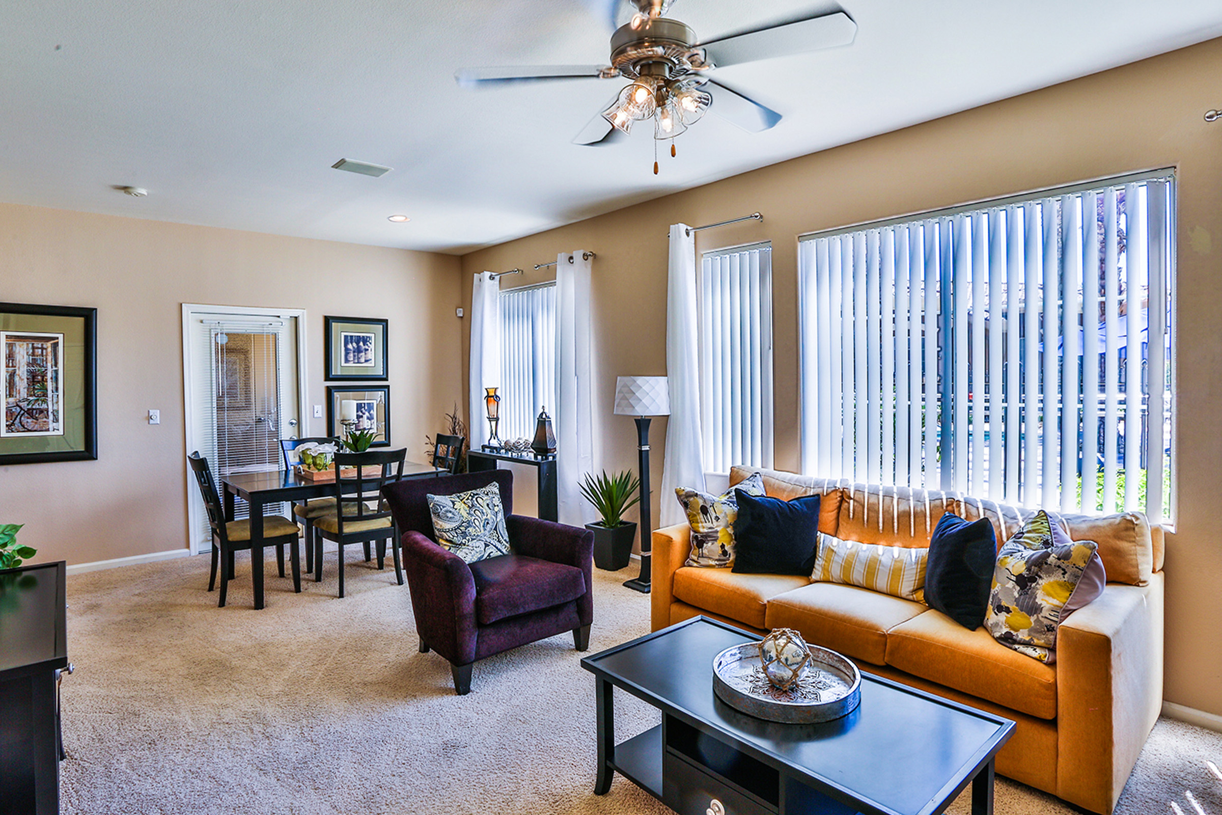 Apartment Features