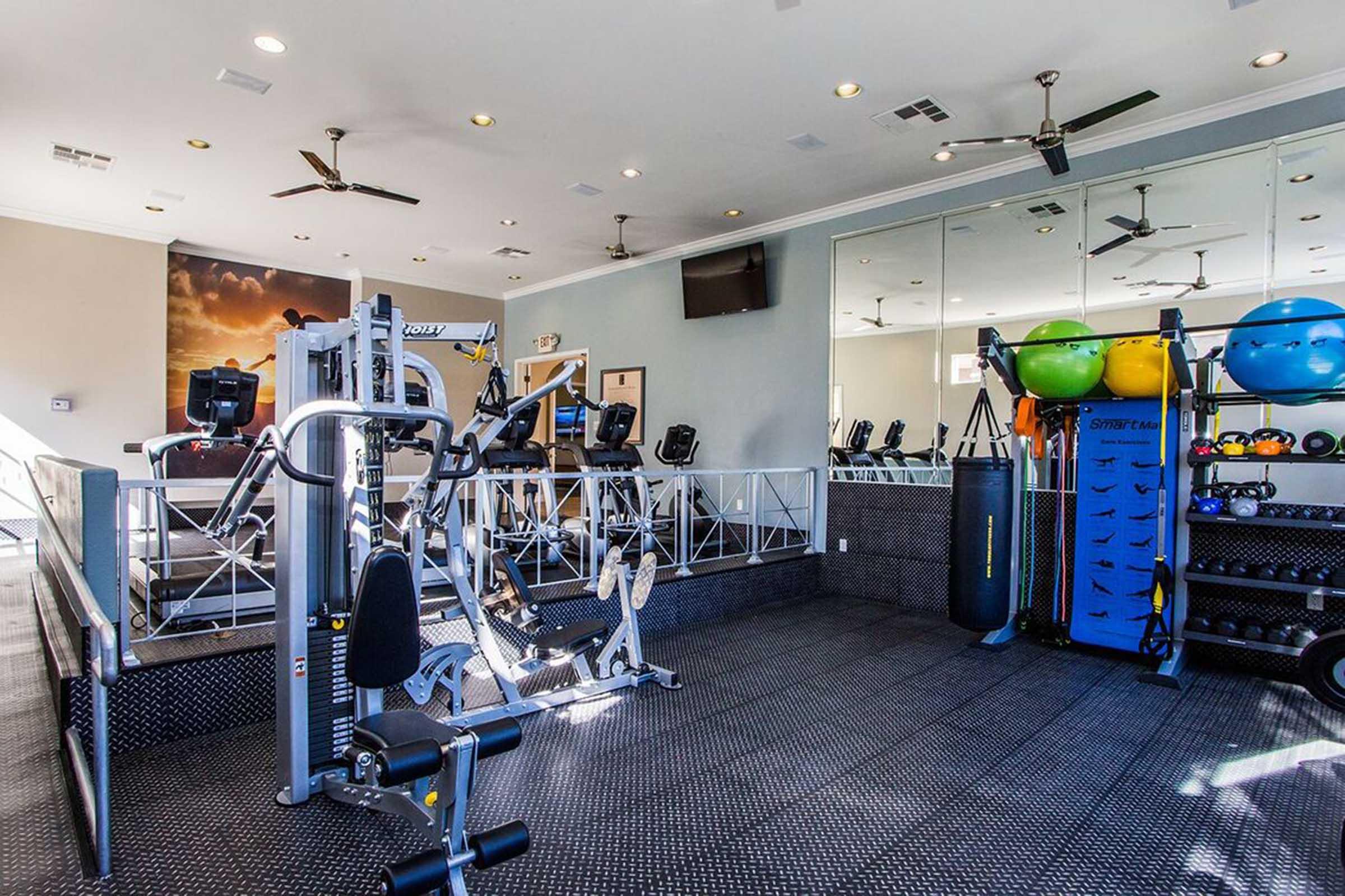A modern gym interior featuring various exercise machines, including cardio equipment and strength training tools. The space is well-lit with ceiling fans, mirrors on one wall, and colorful exercise balls arranged neatly. The flooring is black rubber, adding to the gym's professional atmosphere.
