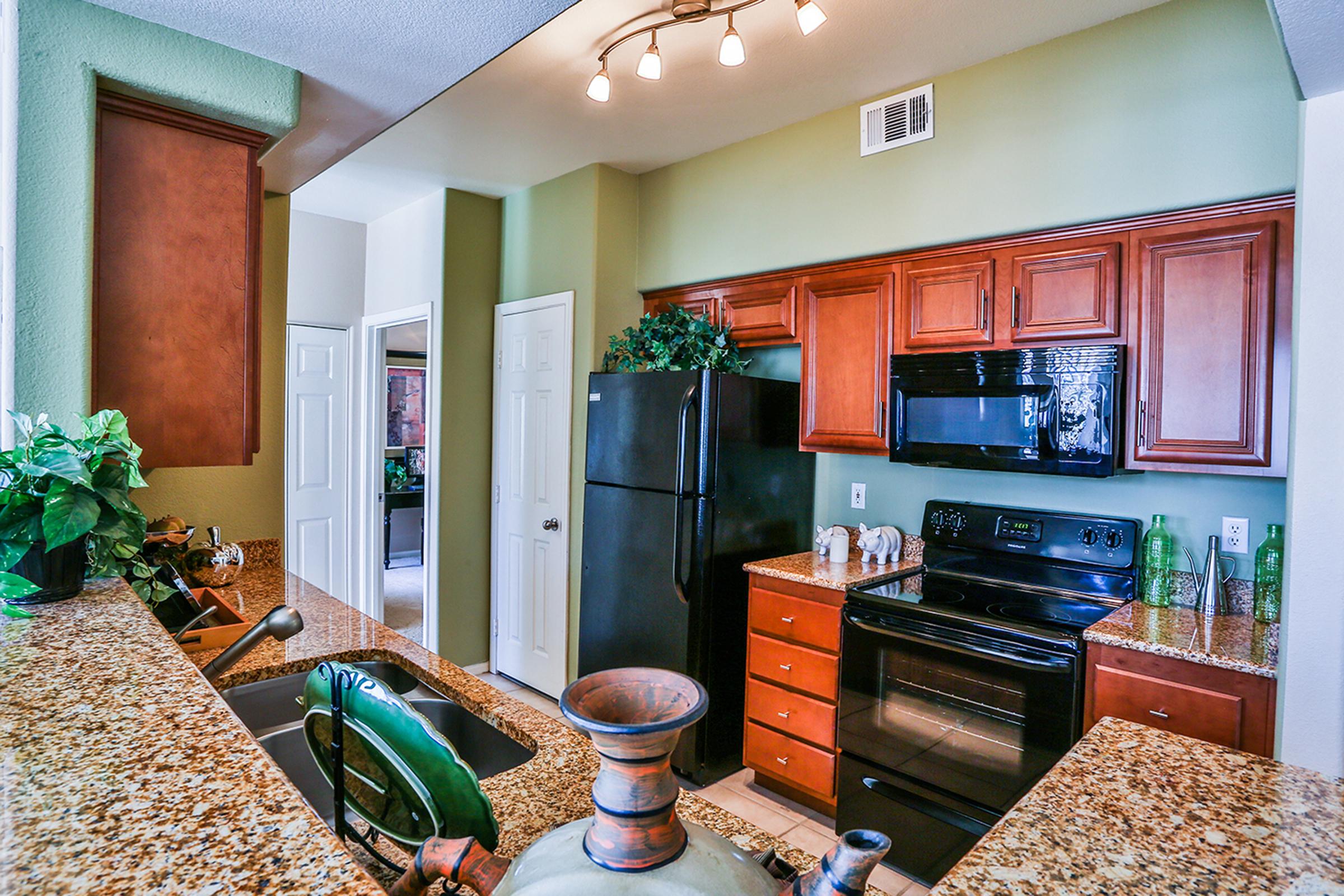 A modern kitchen featuring wooden cabinets, a black refrigerator, and a black stove. The countertop is made of granite, and there are green decorative elements and plants. The walls are painted a light green, and there is a doorway leading to another room in the background.