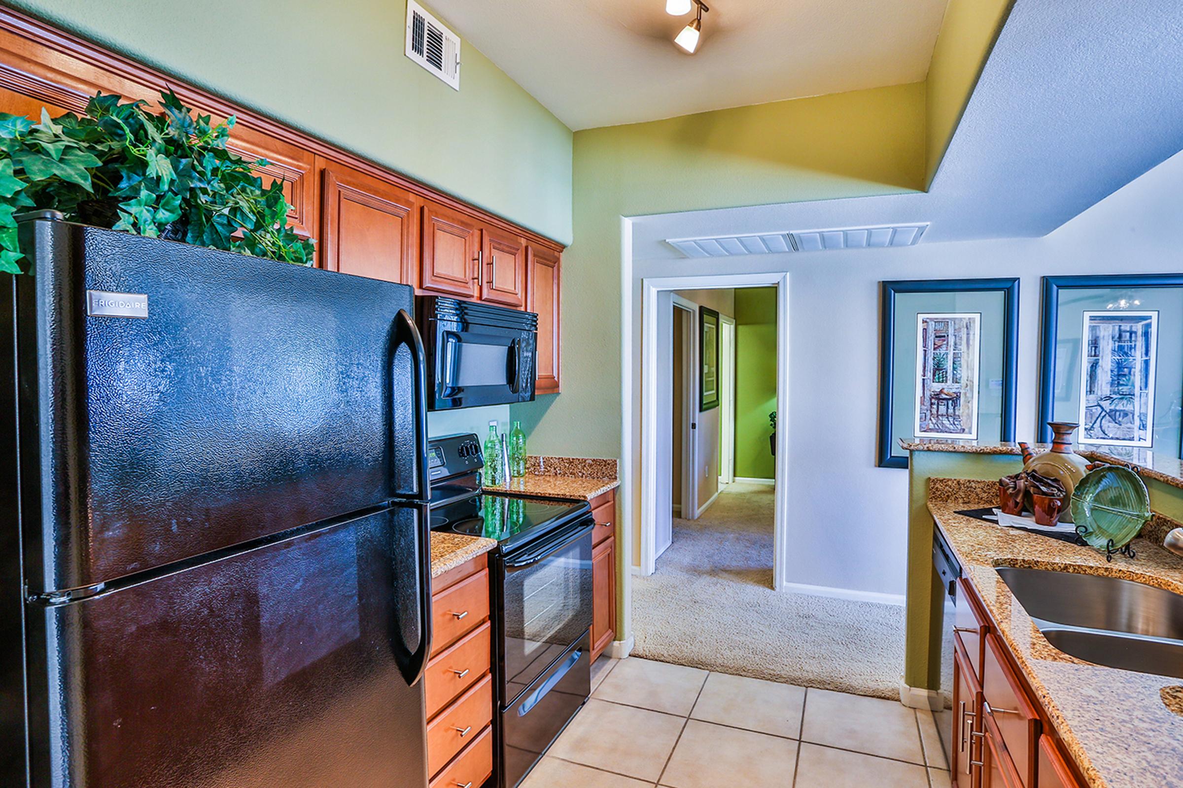 Modern kitchen featuring dark wooden cabinets, black appliances, and granite countertops. A refrigerator, oven, and microwave are visible. The space is well-lit with natural light, a decorative plant on the counter, and an adjoining room visible in the background. Walls are painted in soft green tones.