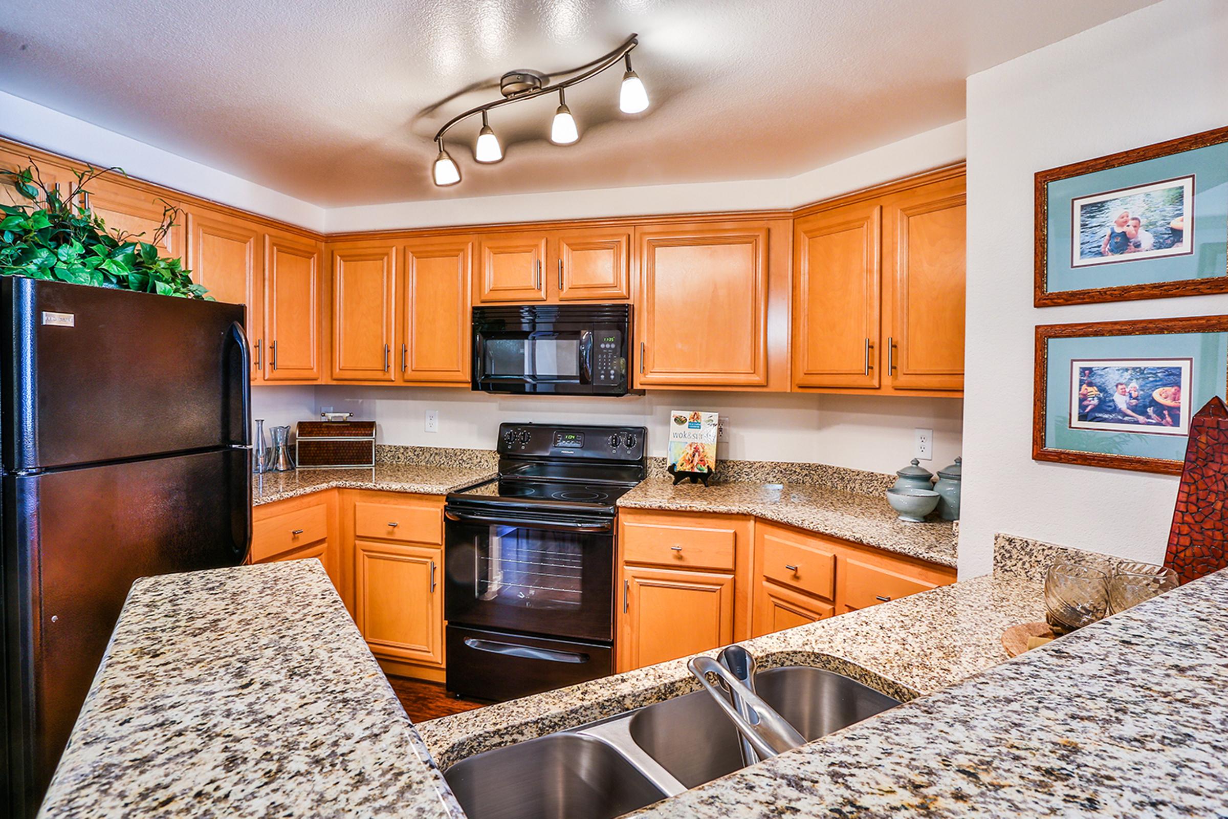 A modern kitchen featuring warm wood cabinets, granite countertops, and stainless steel appliances. The space includes a black refrigerator, a microwave, and an oven. A sink is positioned in the foreground. Decorative plants and framed artwork add a touch of style to the room.