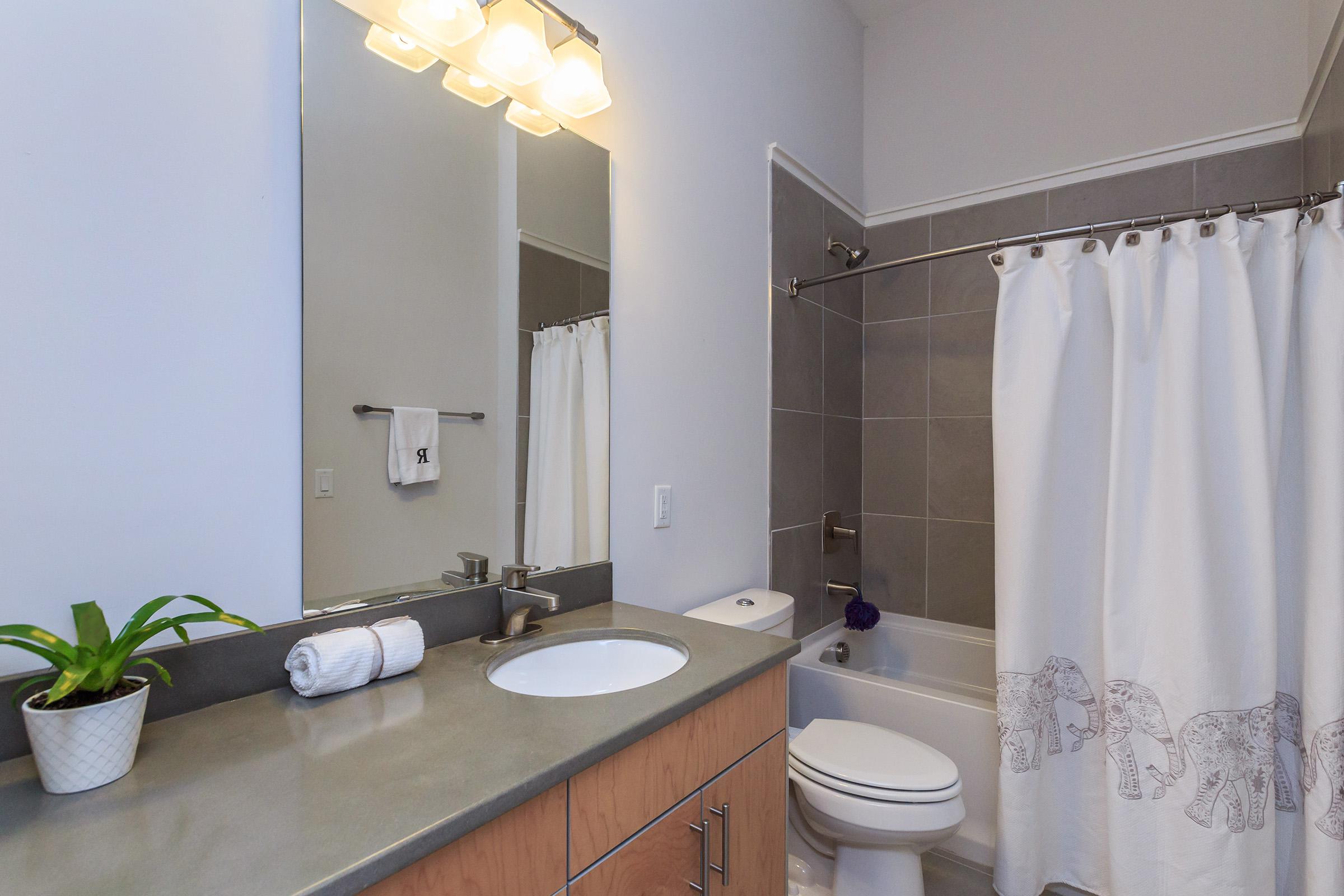 Contemporary bathrooms at The Lofts at South Slope in Asheville, NC.