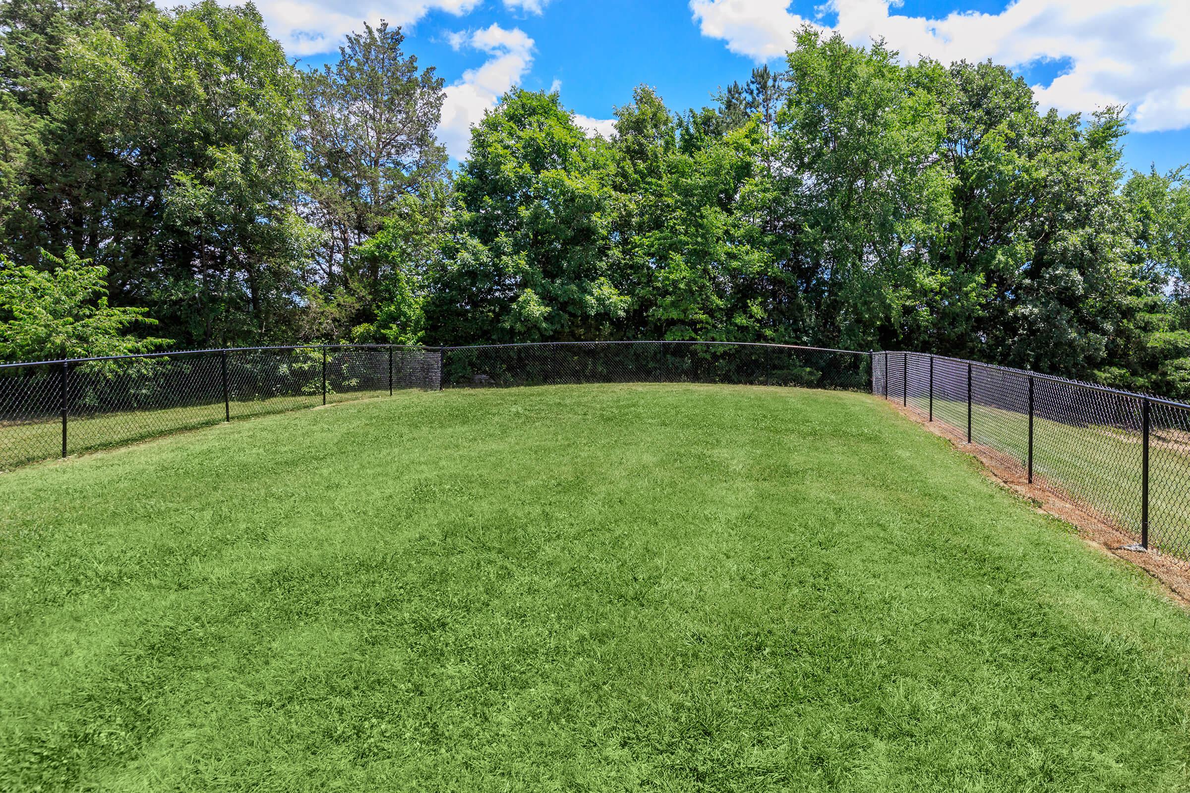 A wide view of a park-like area featuring a green grassy field enclosed by a black chain-link fence. Lush trees and a clear blue sky with scattered clouds are visible in the background, creating a serene outdoor environment. The scene suggests a space suitable for recreational activities or a pet area.