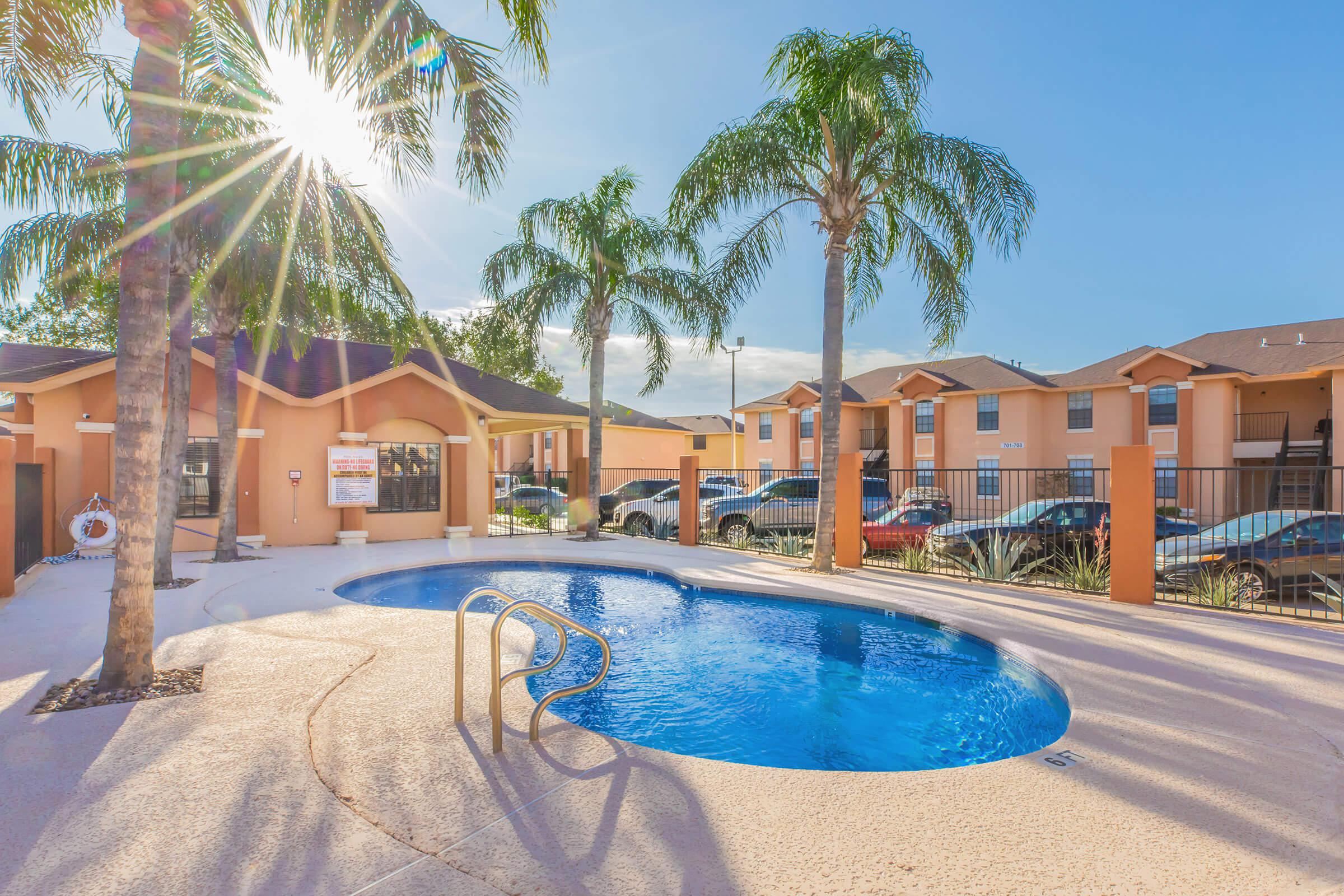 a pool next to a palm tree